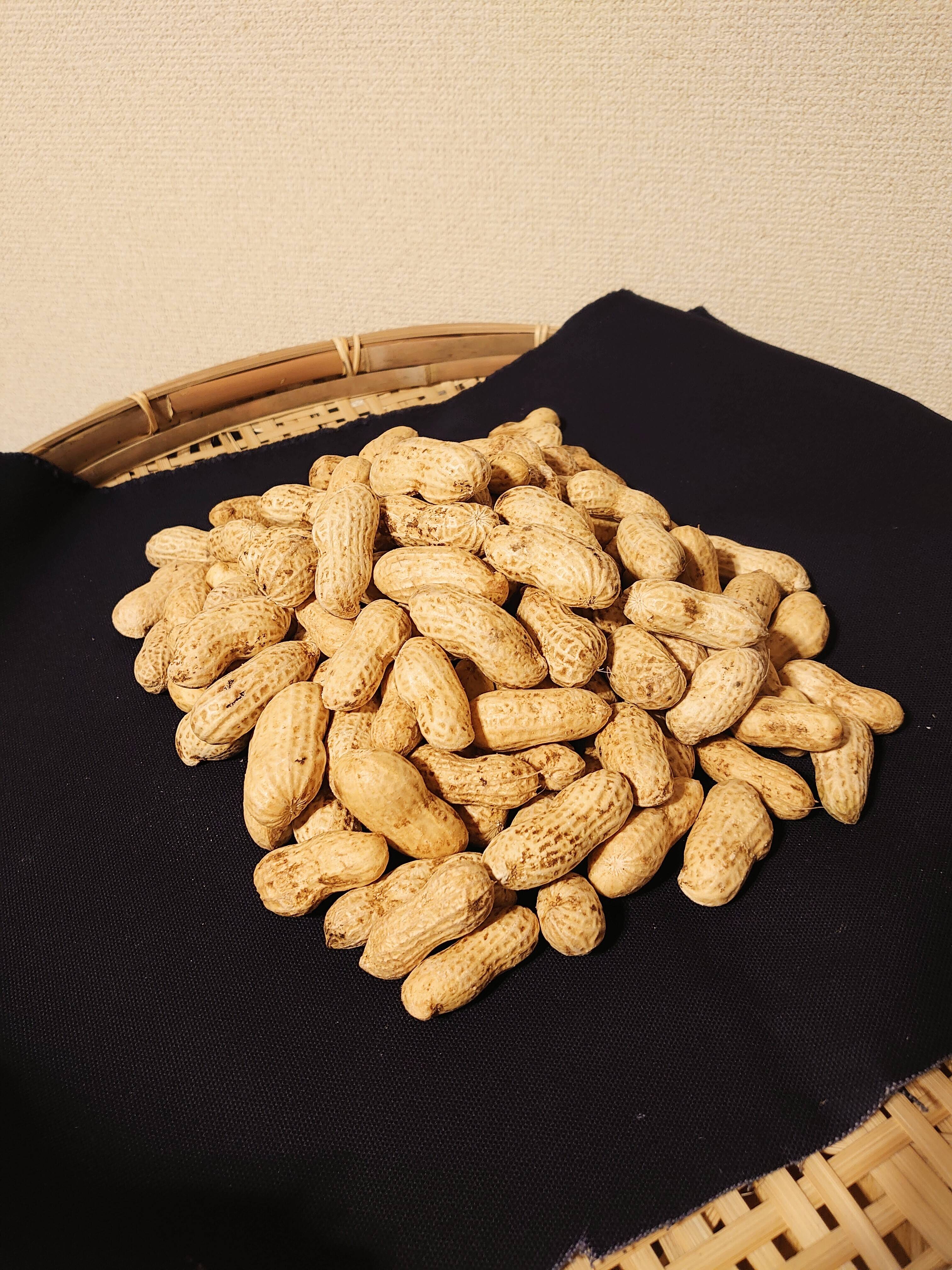 栽培期間中農薬化学肥料なし】おおまさり 生落花生 1.0kg 3.0kg：千葉