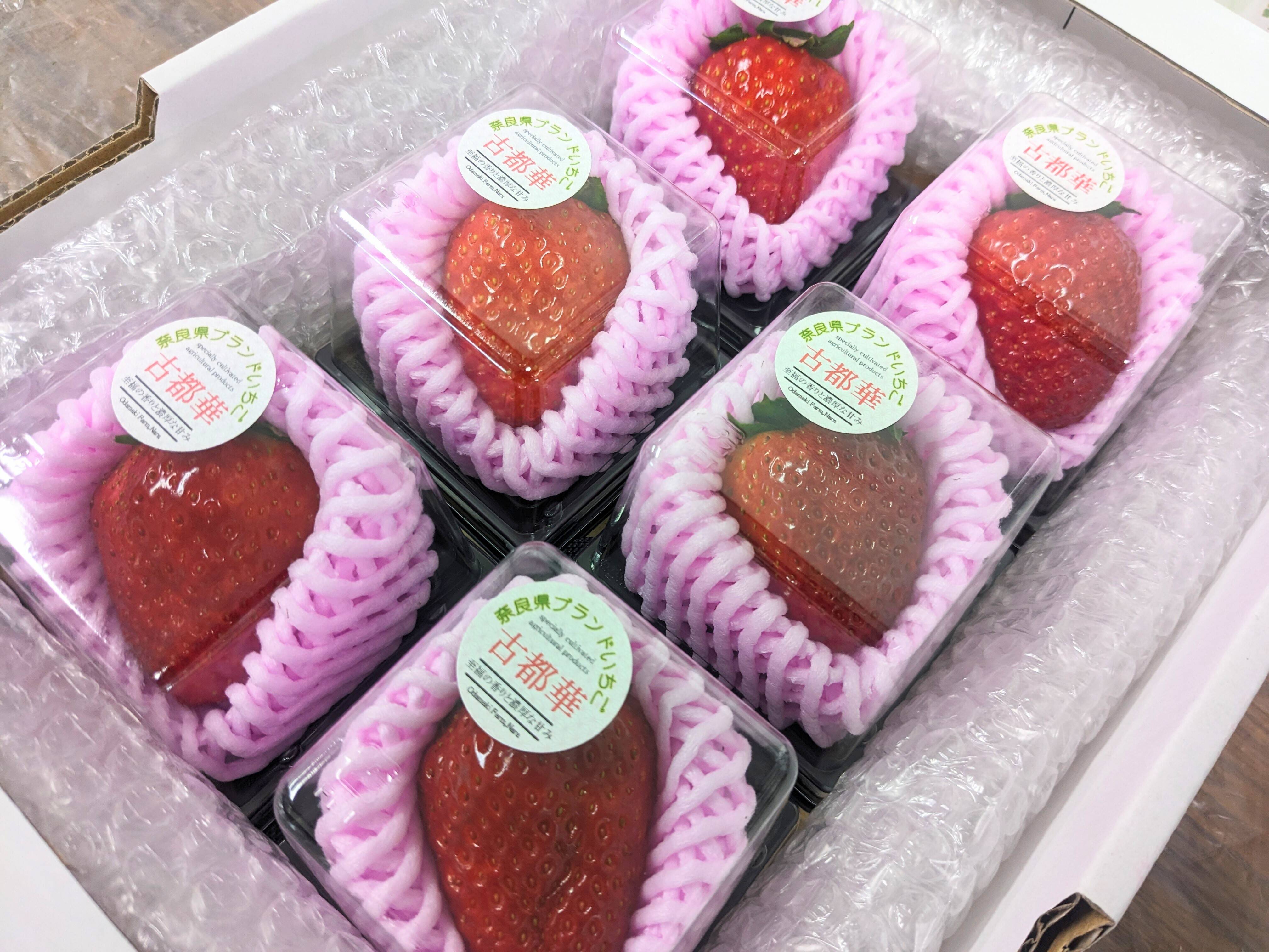 いちご11超特大大粒古都華奈良産 先行予約 特選大粒いちご 奈良県のいちご古都華1パック 2026年1月発送