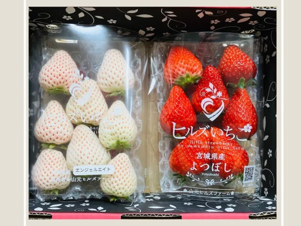 ギフト】宮城県産いちご食べ比べセット！品種ベリーポップすずorよつぼ