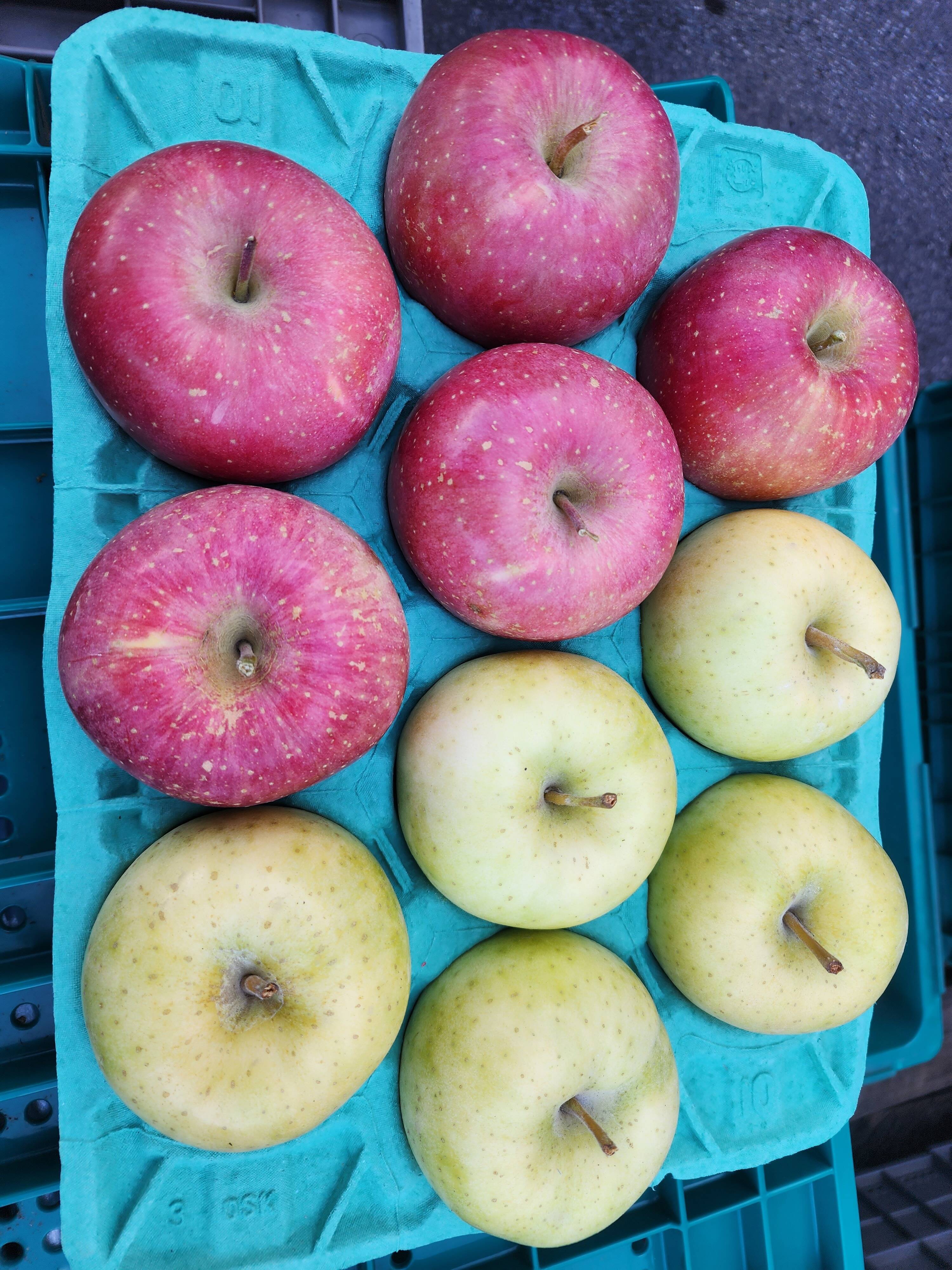 数量限定 農家直送 青森県産りんご使用 加工品詰め合わせセット 