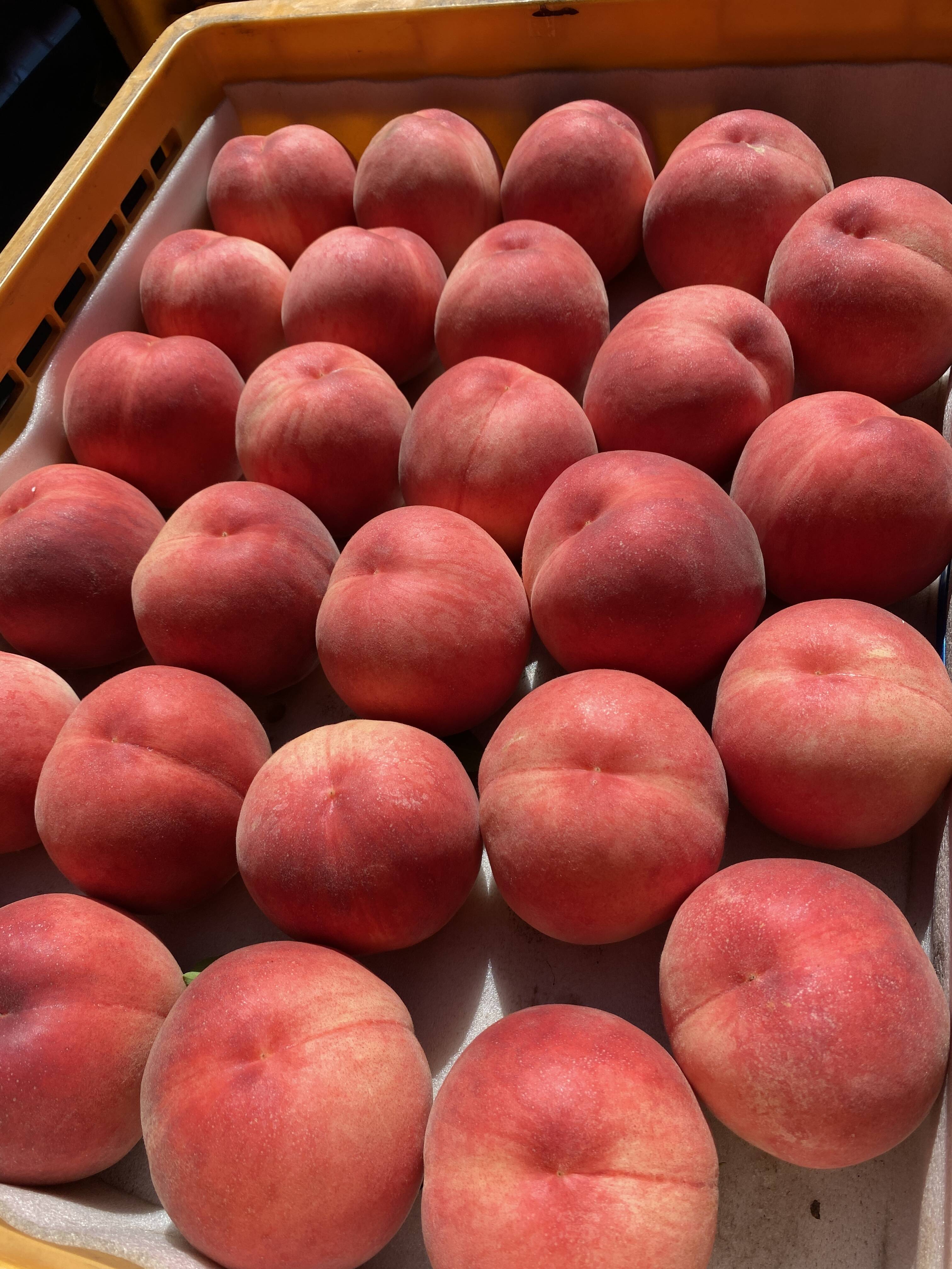 夏かんろ】甘みが強いジューシーな桃✨7月お届け 朝採りしてその日に