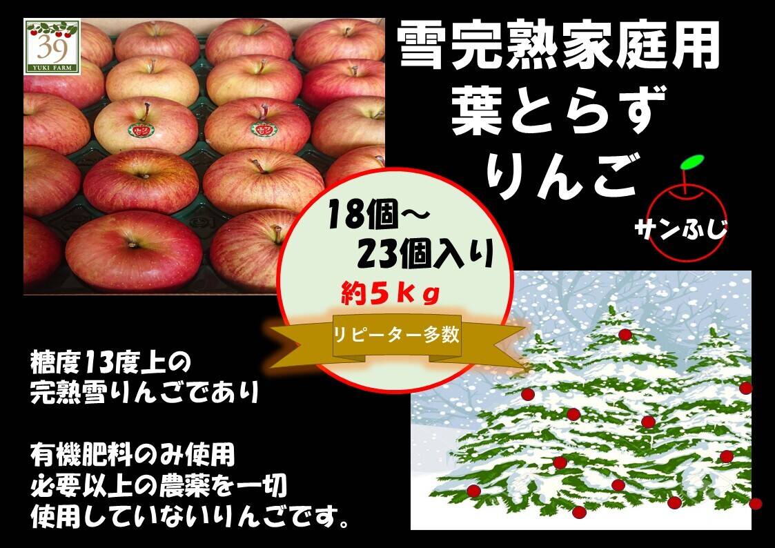 青森県産りんご 【メディアや新聞からお声が掛かり注文殺到！】 【代々
