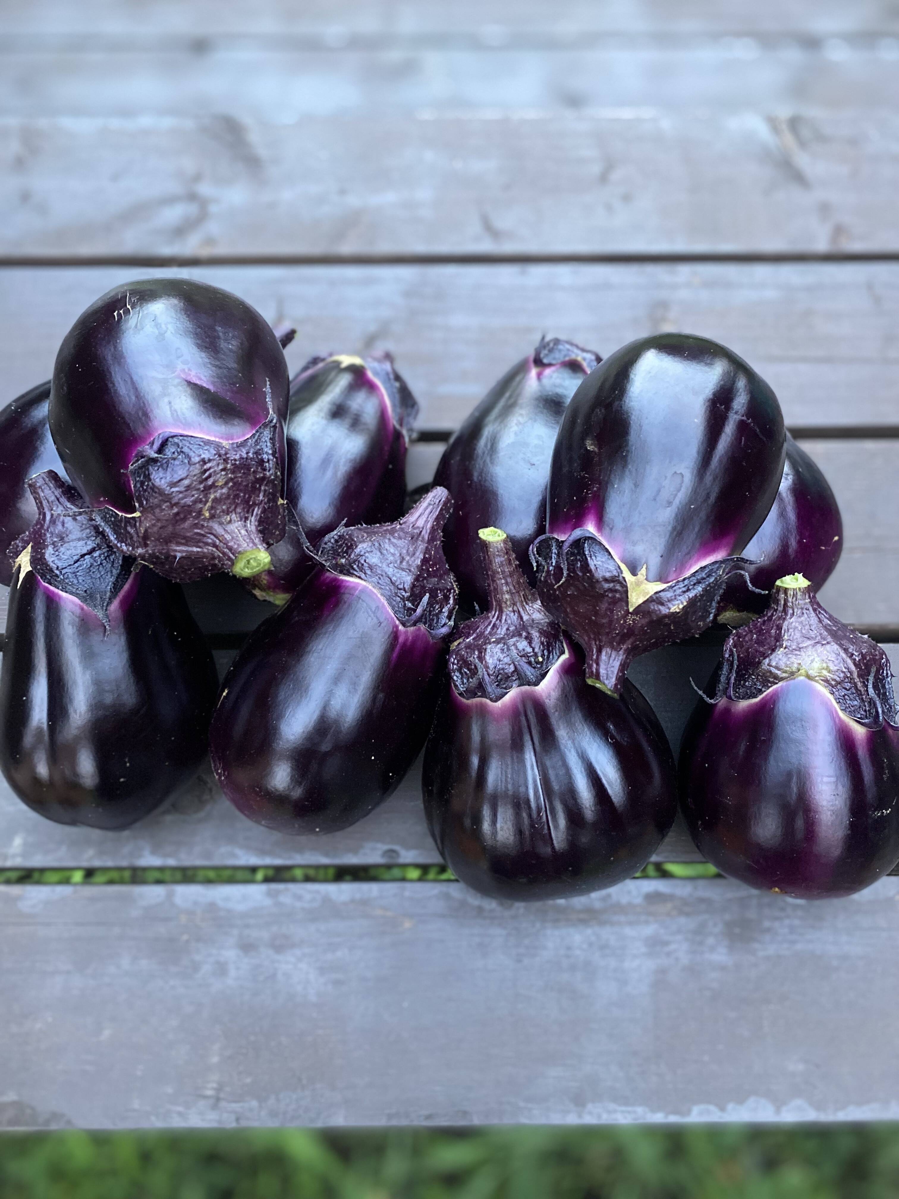 06c0e3daee384e5e0350cae15b01ac