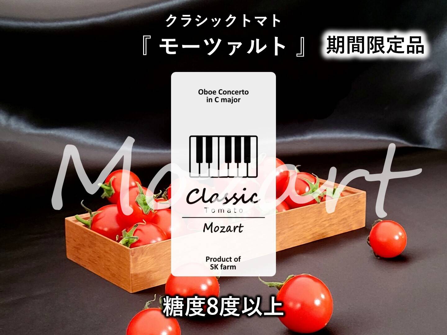 クラシック音楽で育つ 糖度8度以上・酸味の少ない高糖度ミニトマト