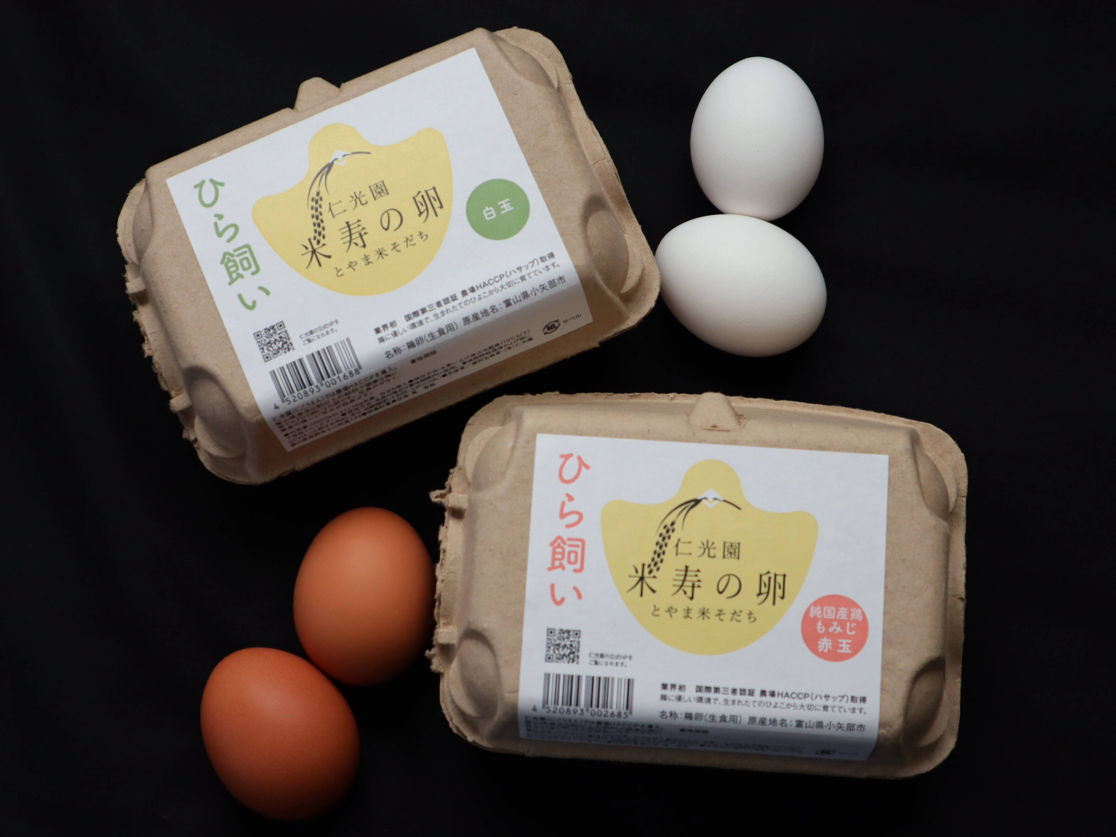 富山県のお米で育った鶏が自慢です！】ひら飼い 米寿の卵 白玉6個入×2