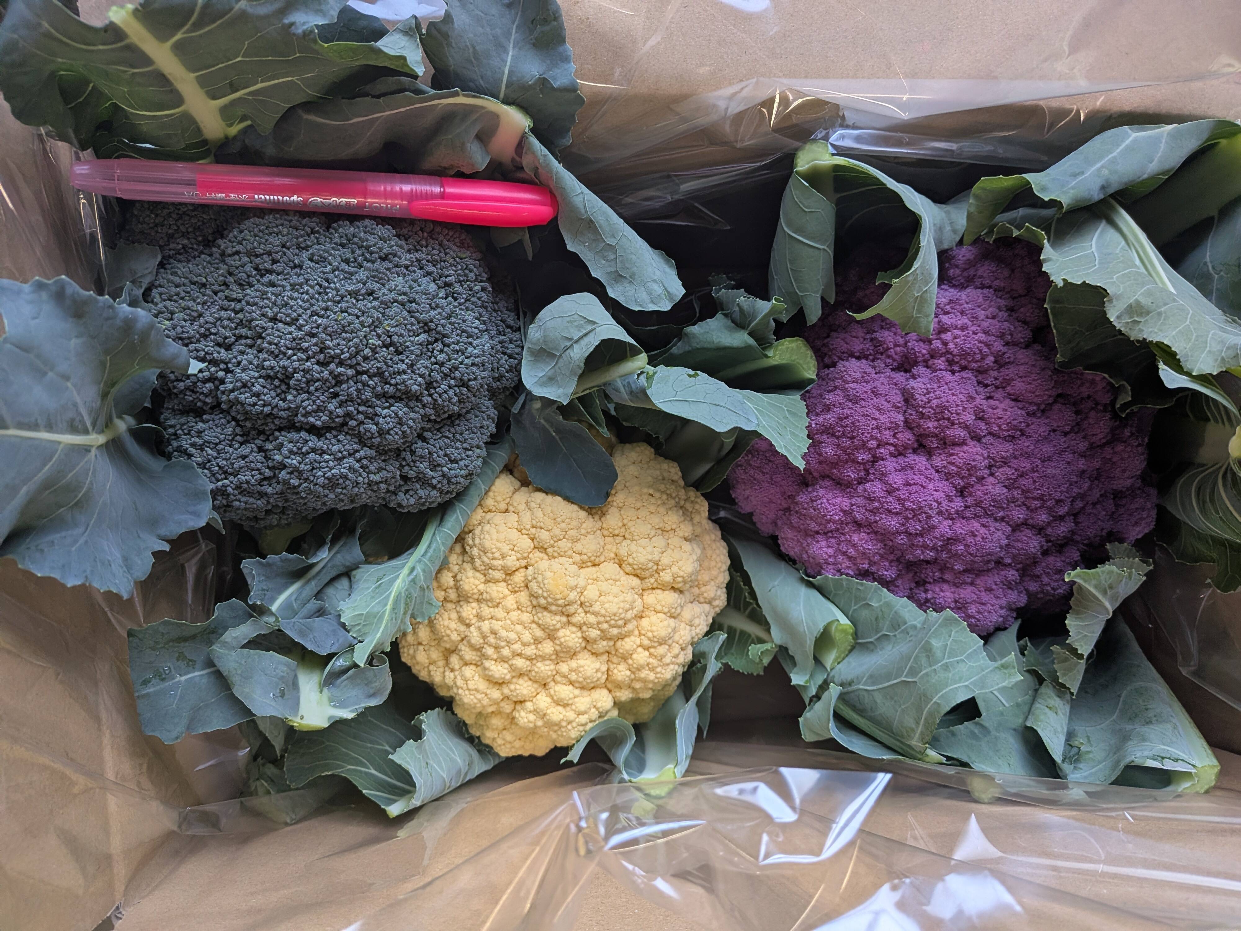 ???3色セット???：愛知県産のカリフローレ｜食べチョク｜産地 