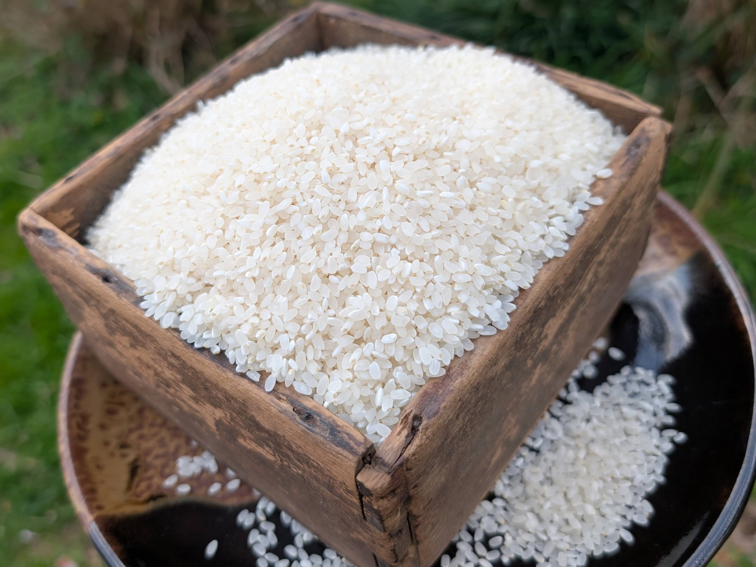 白米4KG 栽培期間中農薬・化学肥料不使用 自然農業での栽培：長崎県産