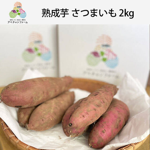 さつまいも 紅はるか 5Kg箱 訳あり 有機栽培27年以上の実績 紅