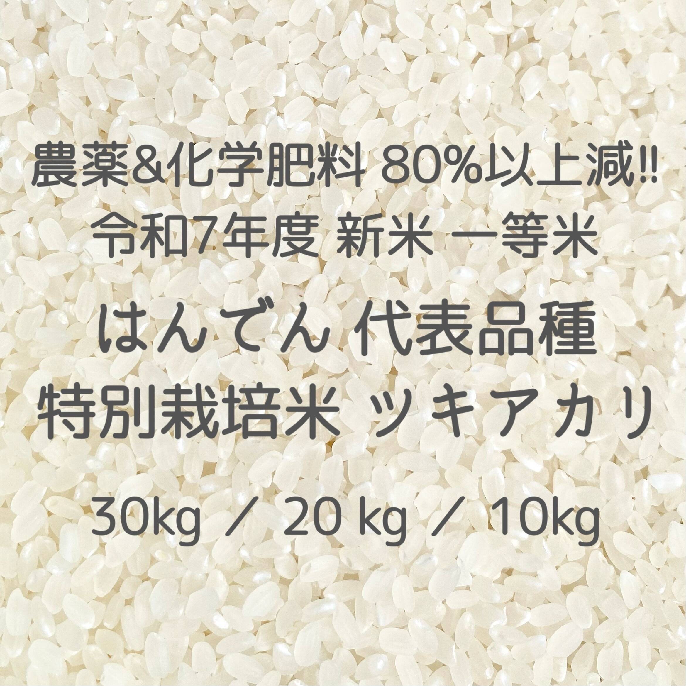 収穫から3日~7日以内の【 生きたお米 】 農薬&化学肥料80%以上大幅減