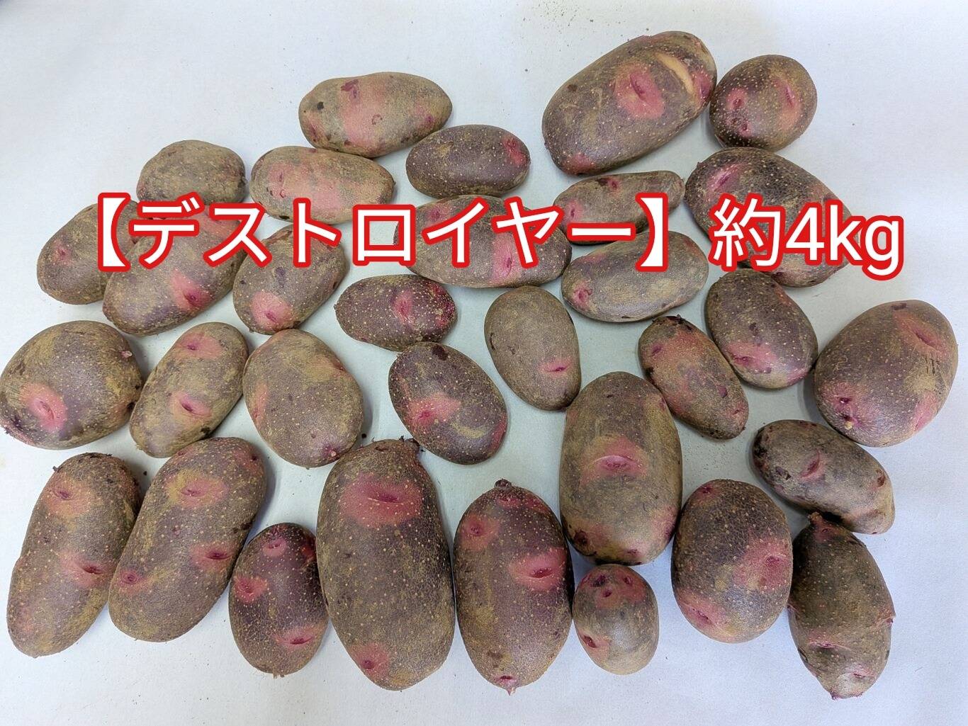 デストロイヤー】新じゃがいも箱込約4kg美味しいと大評判：茨城県産の