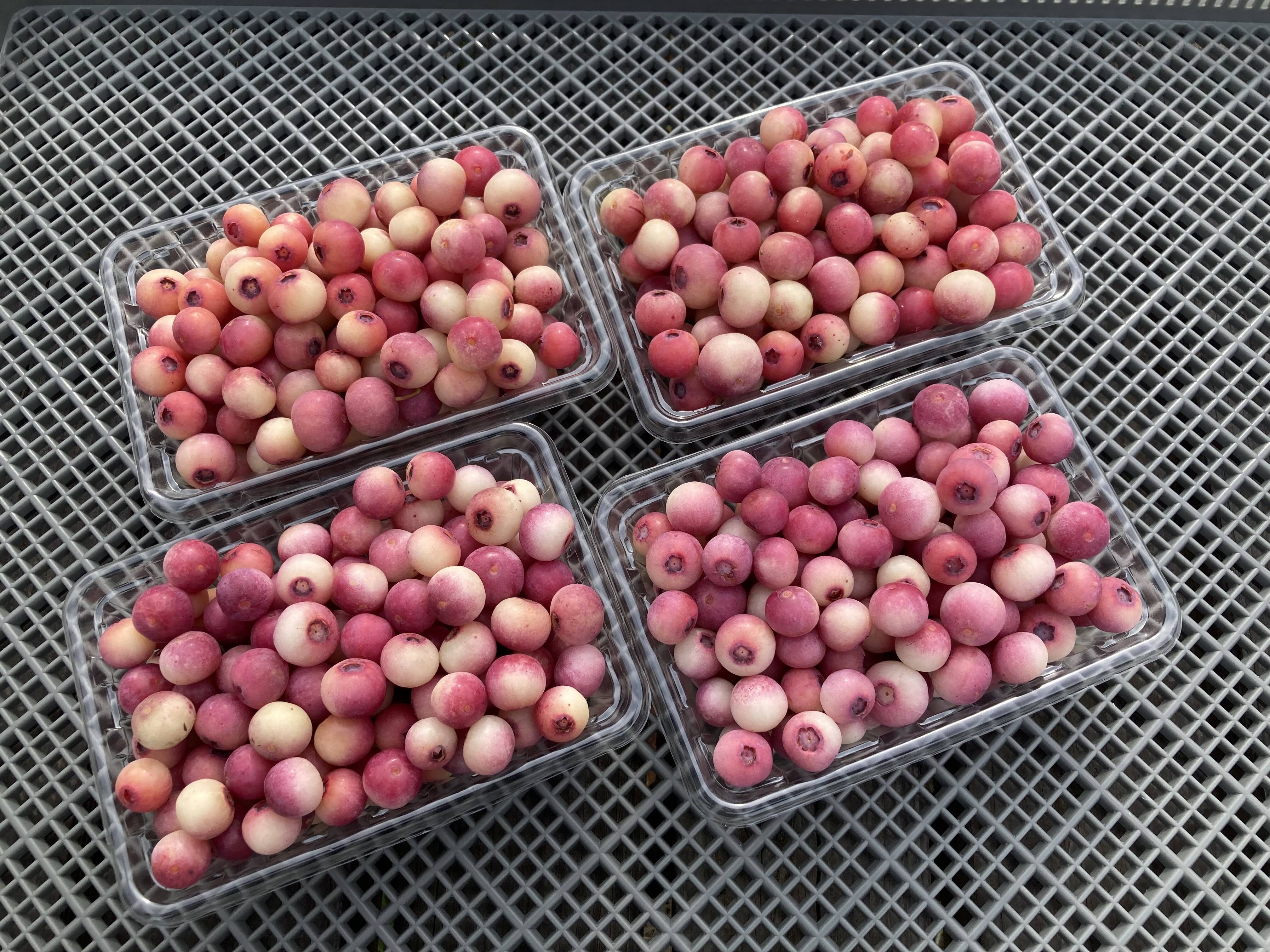 07994a6ee0b741791d21bdc46a3e3e