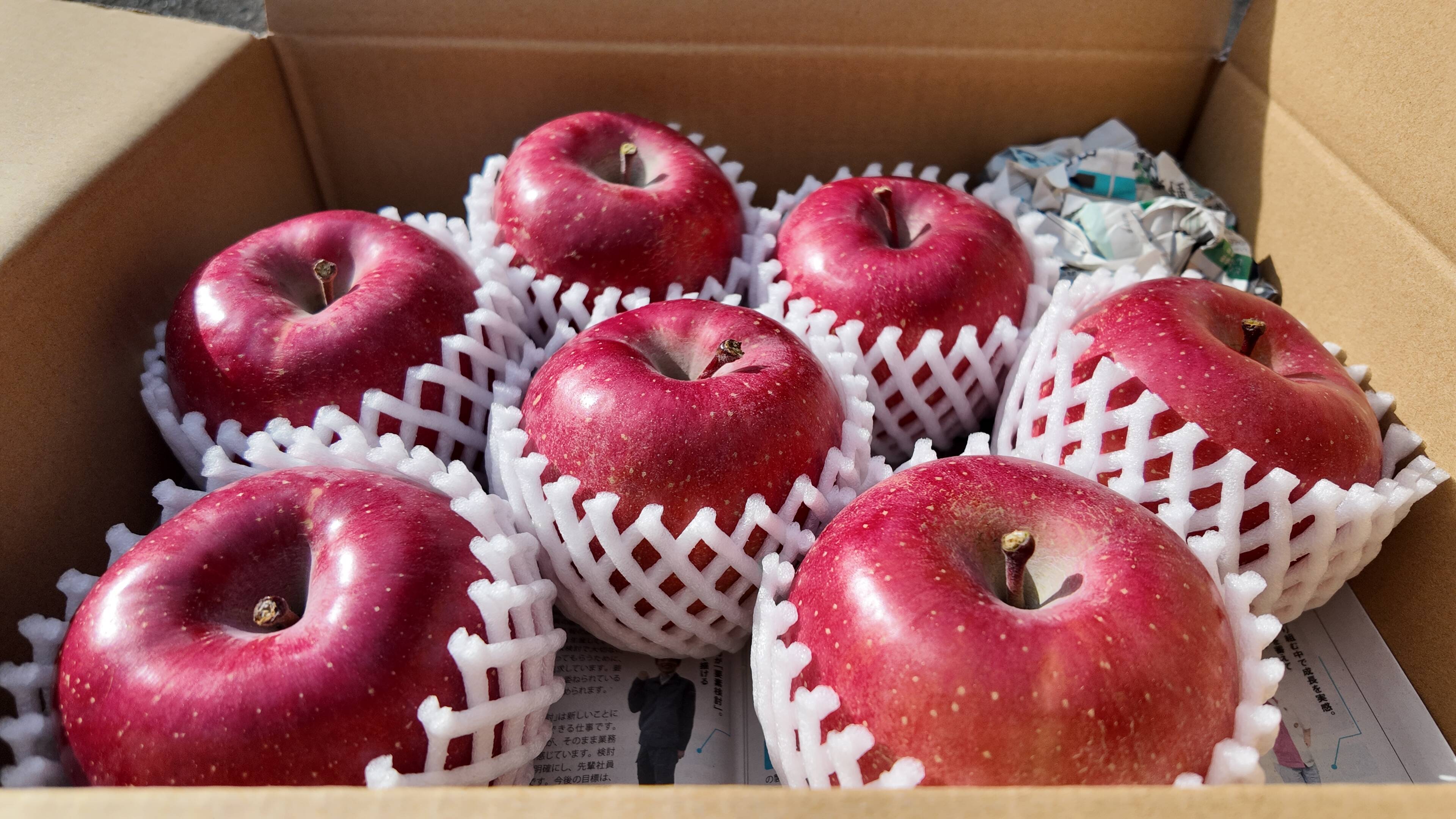 お待たせしました！】標高730mの果樹園からお届け！信州松本育ちの