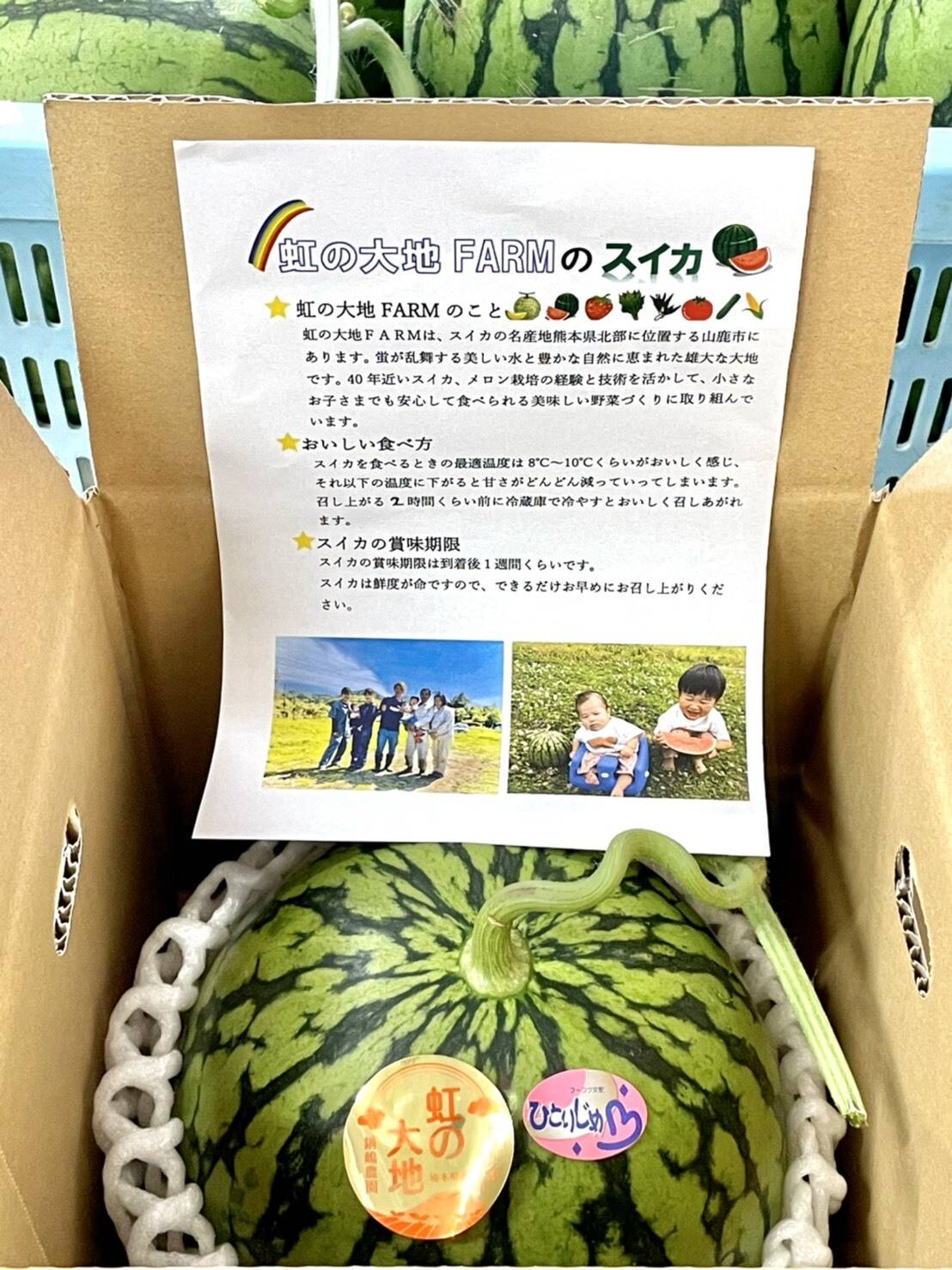 名産地熊本県よりお届け 小玉スイカ1玉入り 2kg前後 熊本県産の野菜 食べチョク 産地直送 産直 お取り寄せ通販 農家 漁師から旬の食材を直送