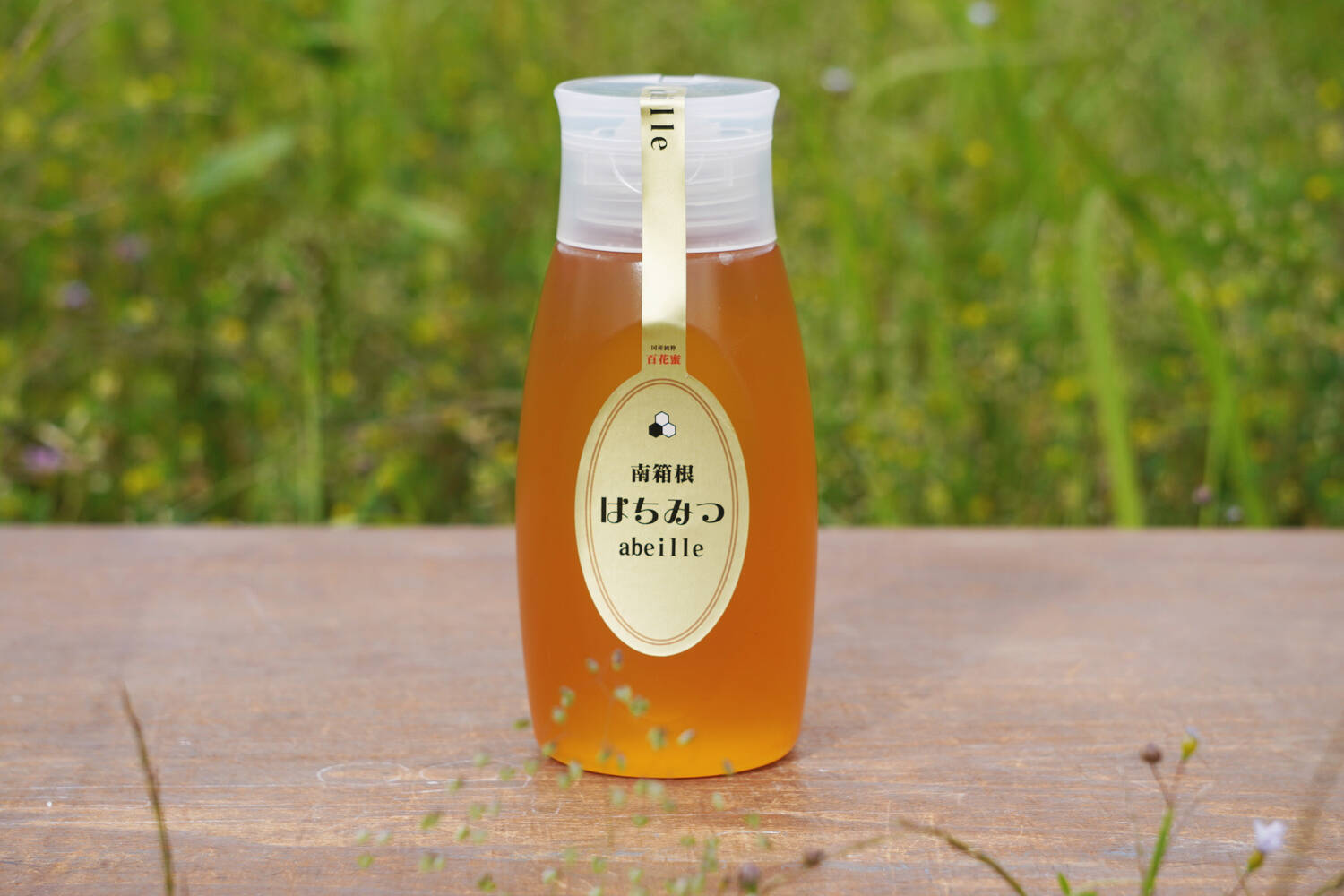 蜂蜜 2026年採蜜したて！南箱根の非加熱はちみつプラボトルタイプ500g