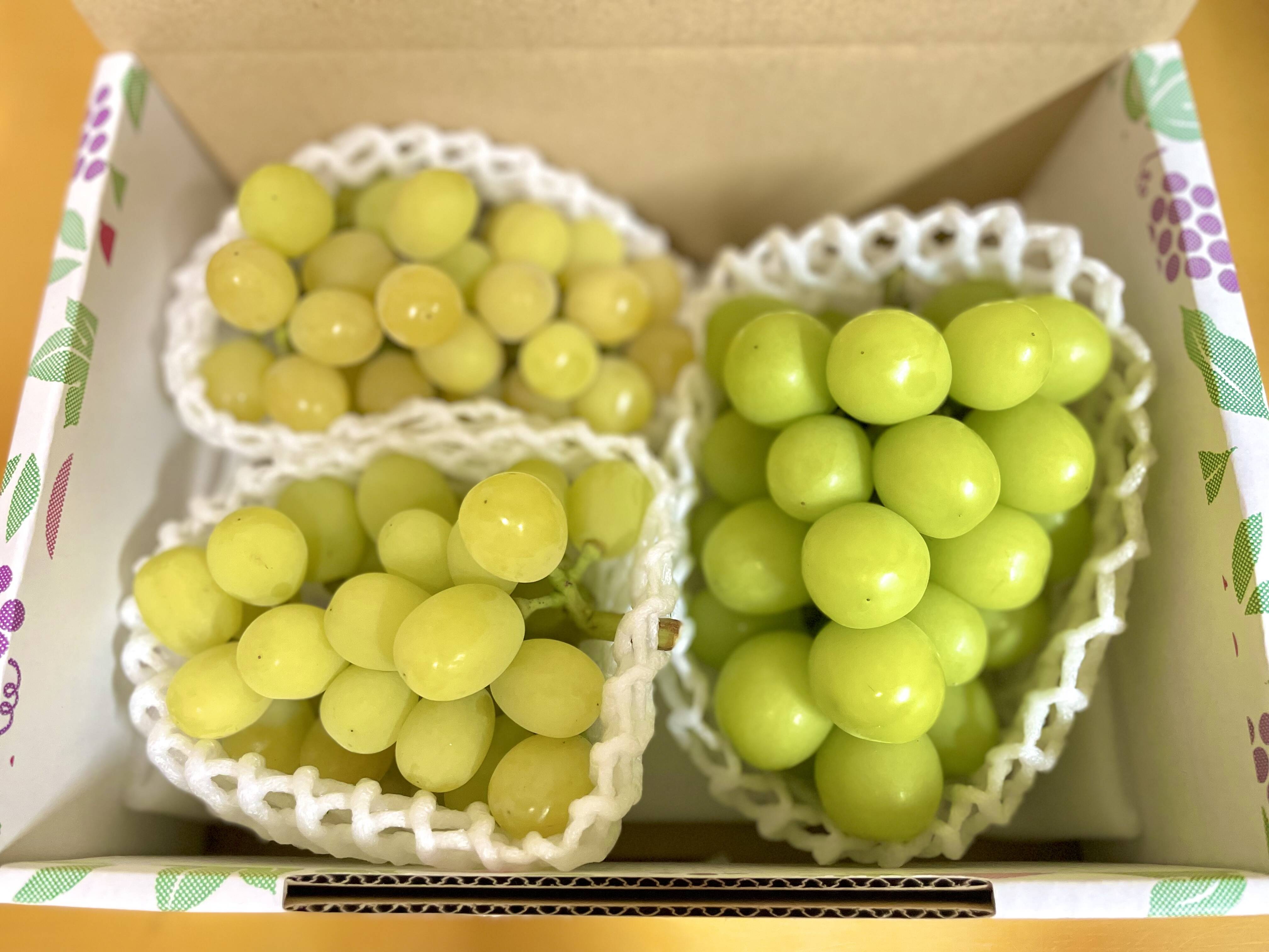 今年も登場！】ゴールデンの虜❤️ノーマルシャインとの食べ比べ：山梨 
