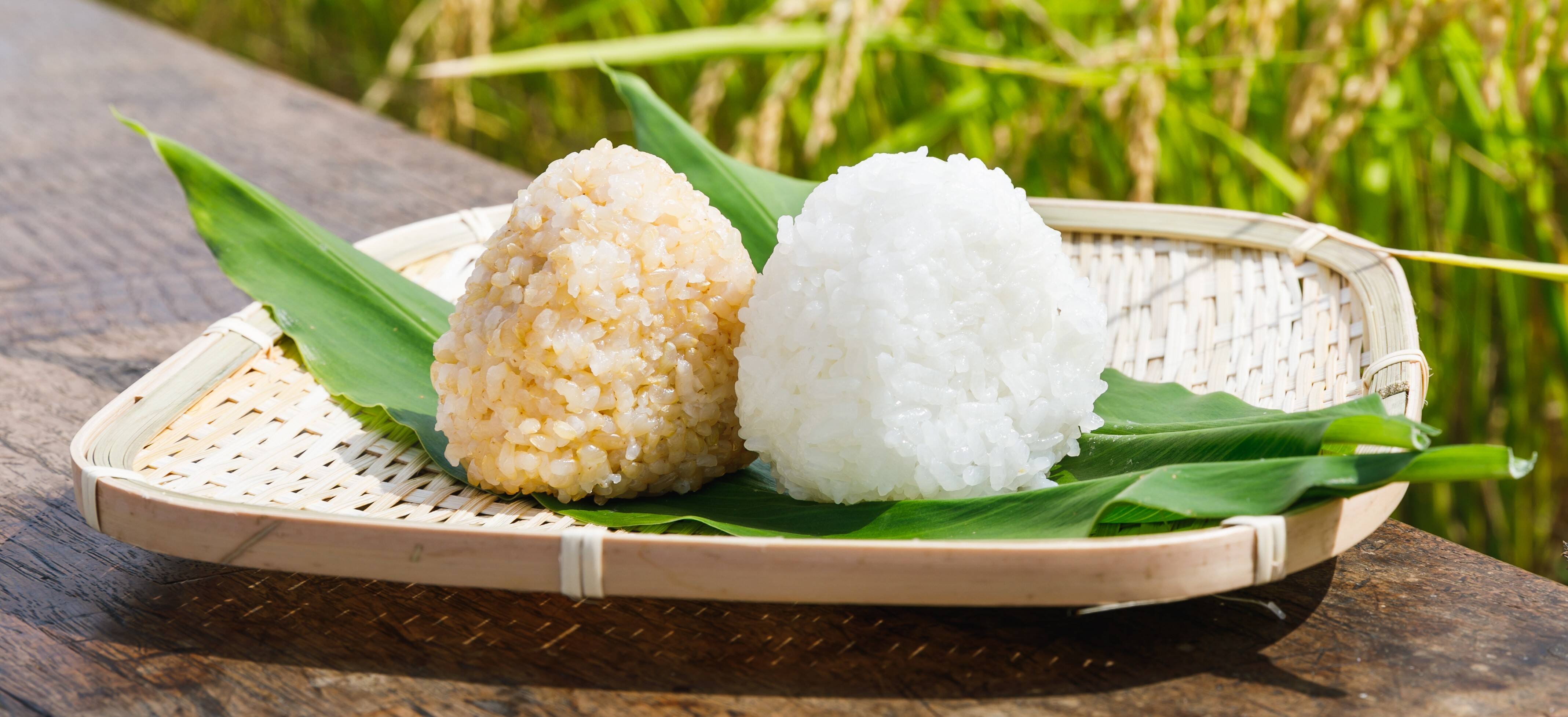 令和7年新米】特別栽培米つや姫 玄米5㎏：山形県産のお米｜食べチョク