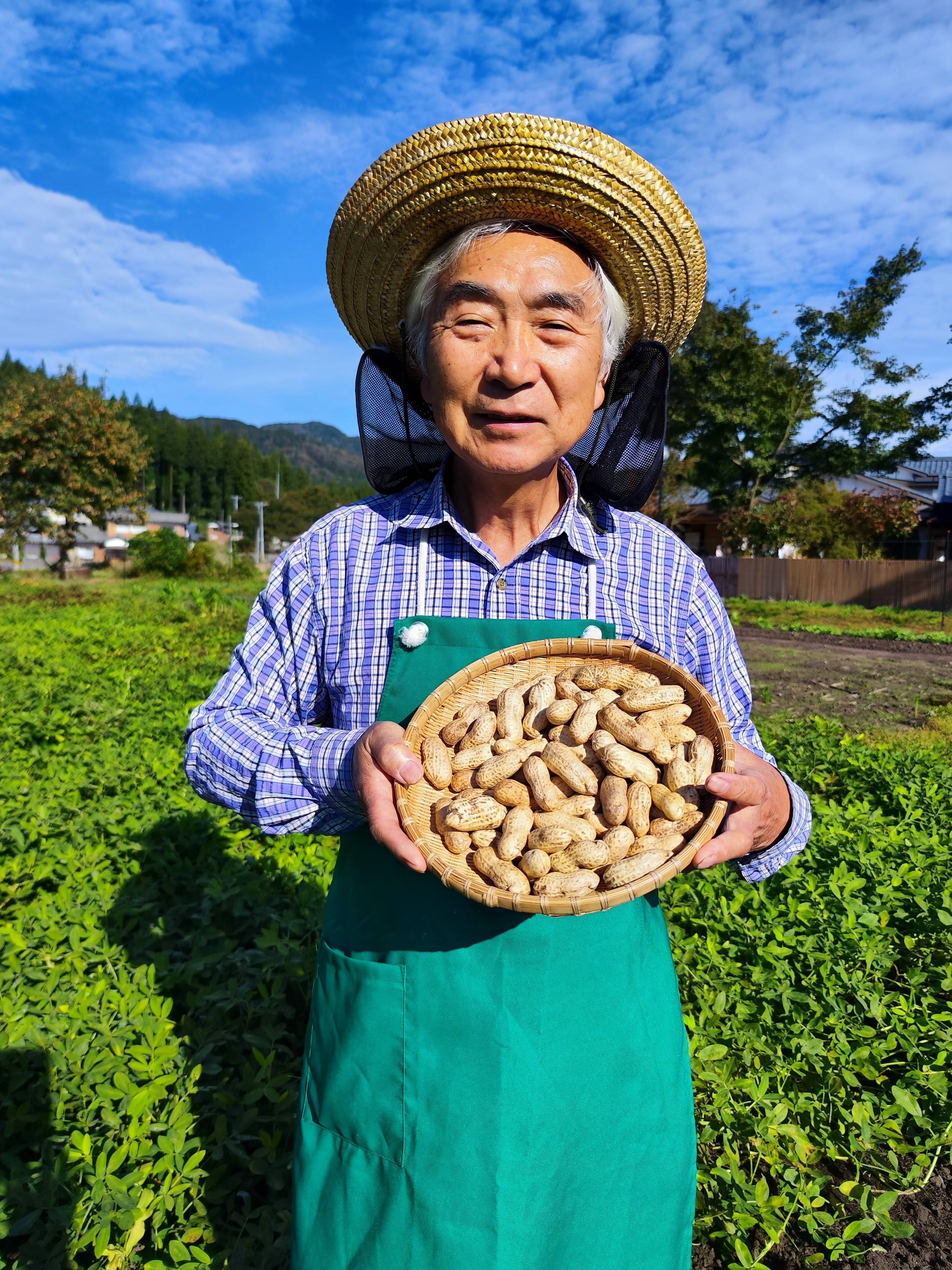 なま落花生〉今だけ採れたて！ジャンボ「おおまさり」クール便 塩ゆで