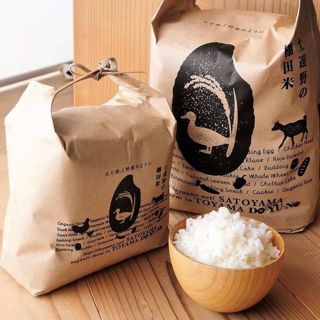 🍴 Eat choku ｜ [New rice / produced in XNUMX] Organic rice Milky Queen XNUMXkg No pesticides or chemical fertilizers used ...