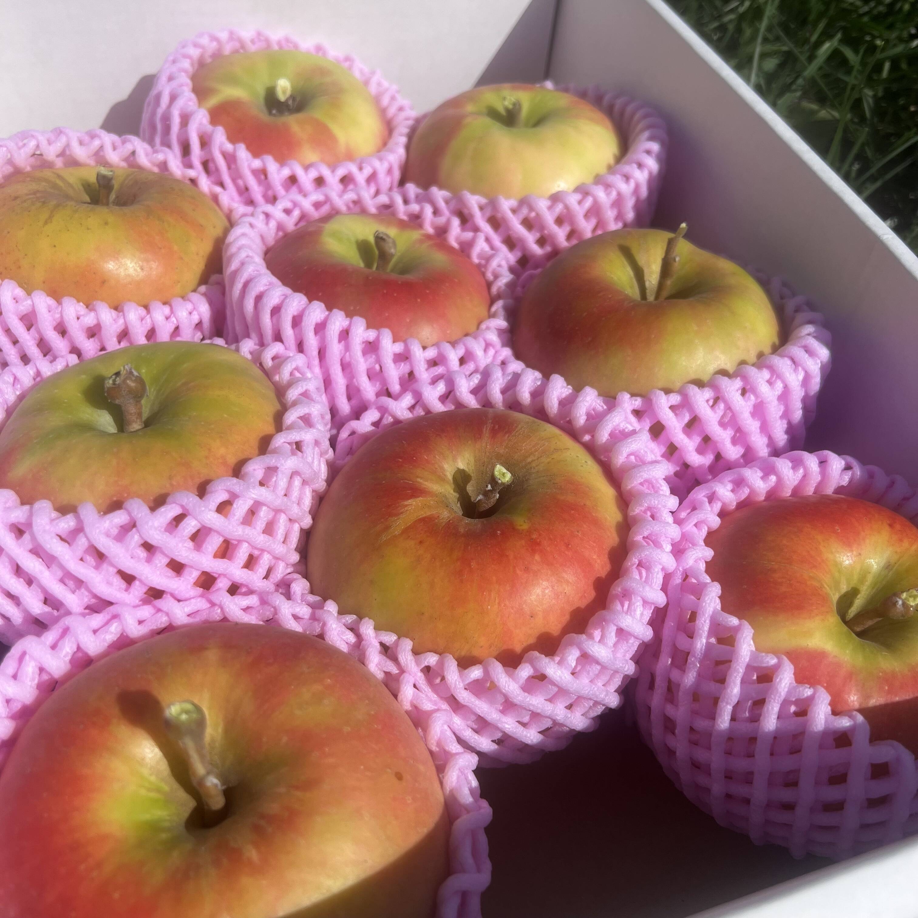 2026年予約受付中] 長野県産 赤果肉 ムーンルージュ 3kg（9~12個