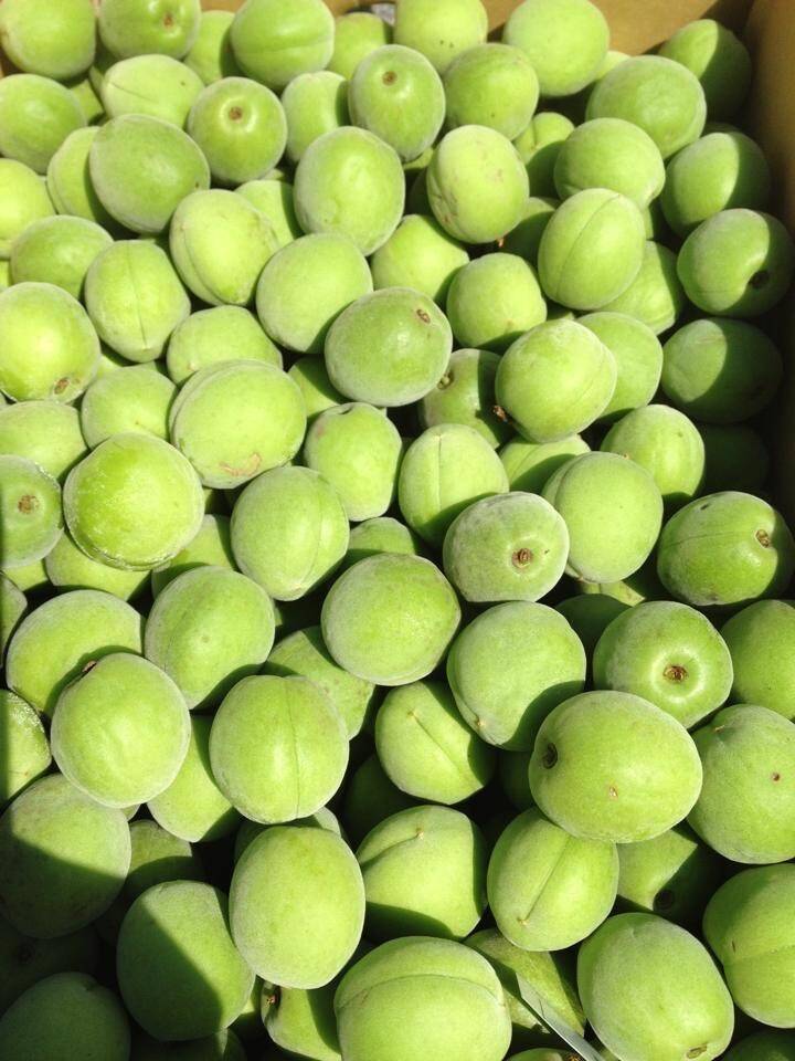 マキ　青梅 4kg 冷凍青梅1kg×4袋】 品種混合 梅酒や梅シロップに！岐阜県郡上市産100