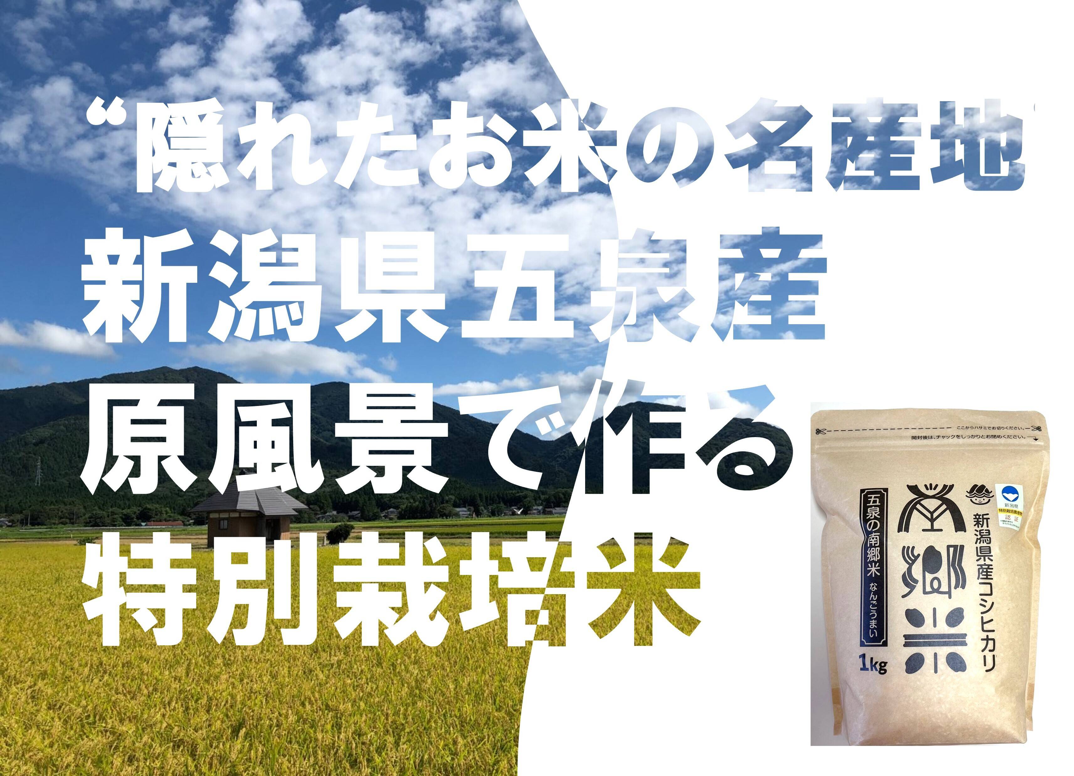 令和６年新米 特別栽培米''隠れたお米の名産地''新潟県五泉産コシヒカリ100%「南郷米」精米1kg×3袋：新潟県産のお米｜食べチョク｜産地直送(産直)お取り寄せ通販  - 農家・漁師から旬の食材を直送