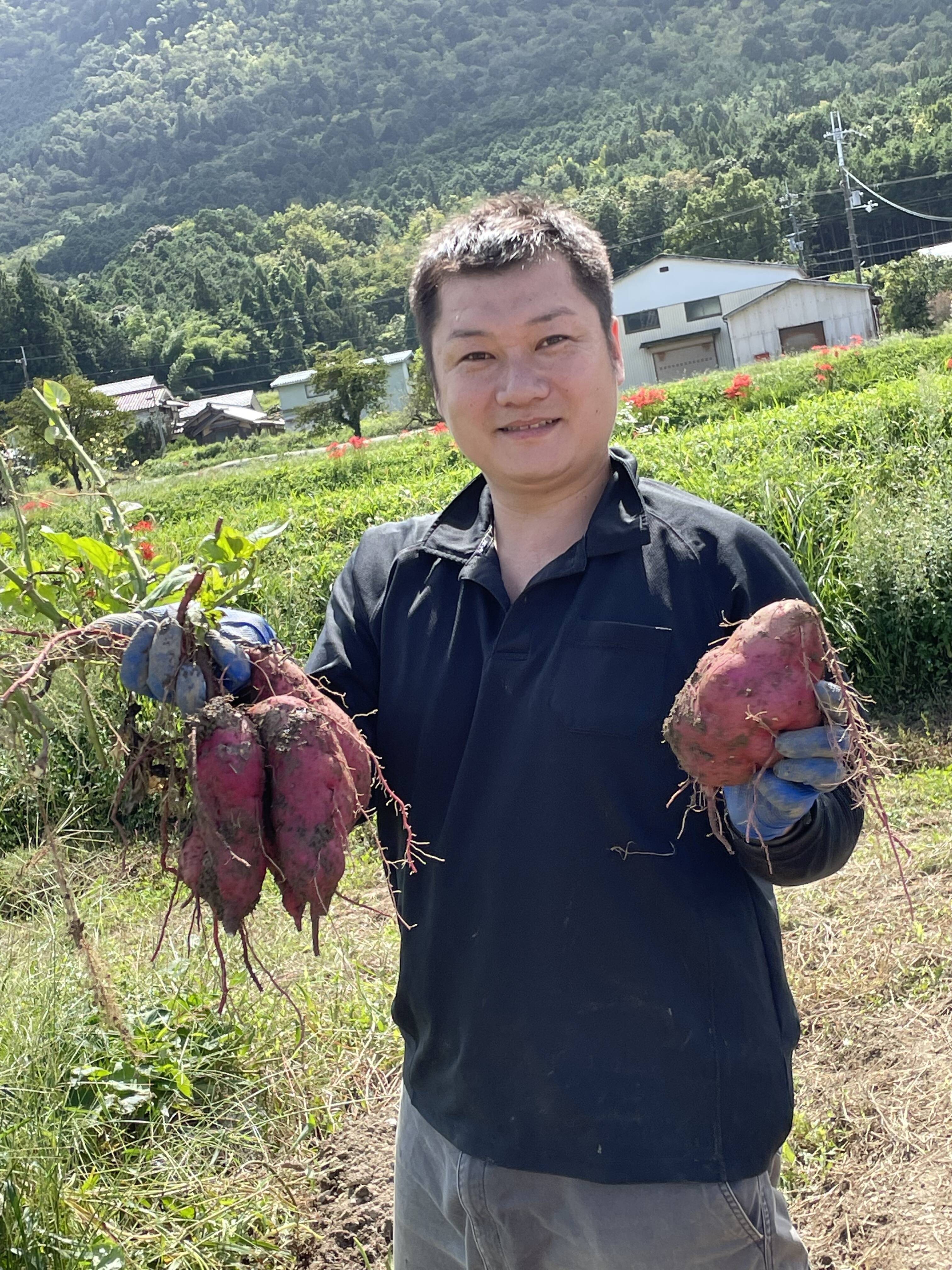 新芋🍠《紅はるか3kg》兵庫県丹波産【お米農家の作るさつまいも✨】農薬･化学肥料不使用 ！ 自家製燻炭・こだわり鶏糞の有機肥料使用◎  紅はるか・大きさいろいろ 手作業で掘っています