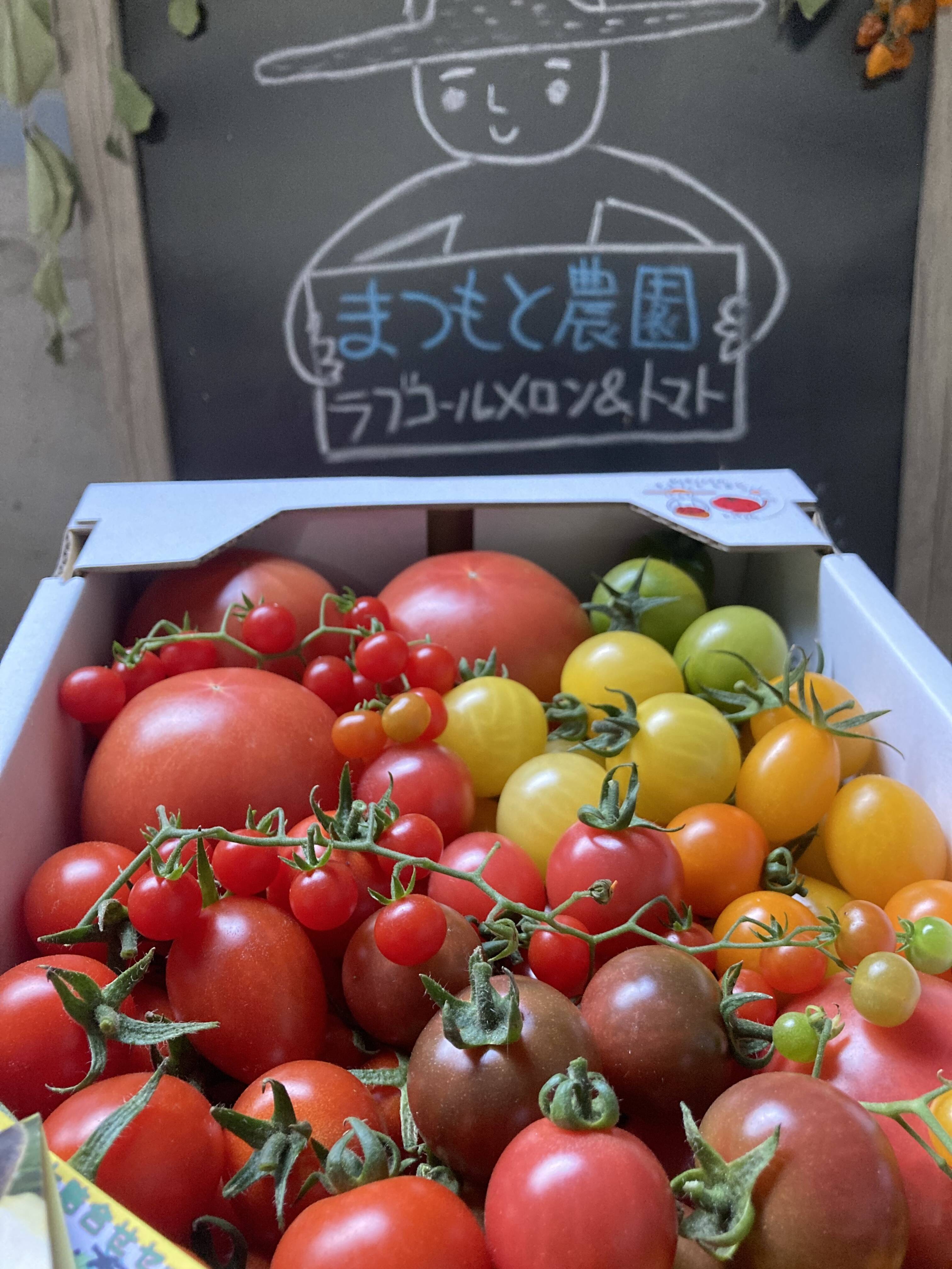大満足セット トマト ミニトマト カラフルトマトの詰め合わせ7種の1 5キロ 熊本県産の野菜 食べチョク 産地直送 産直 お取り寄せ通販 農家 漁師から旬の食材を直送