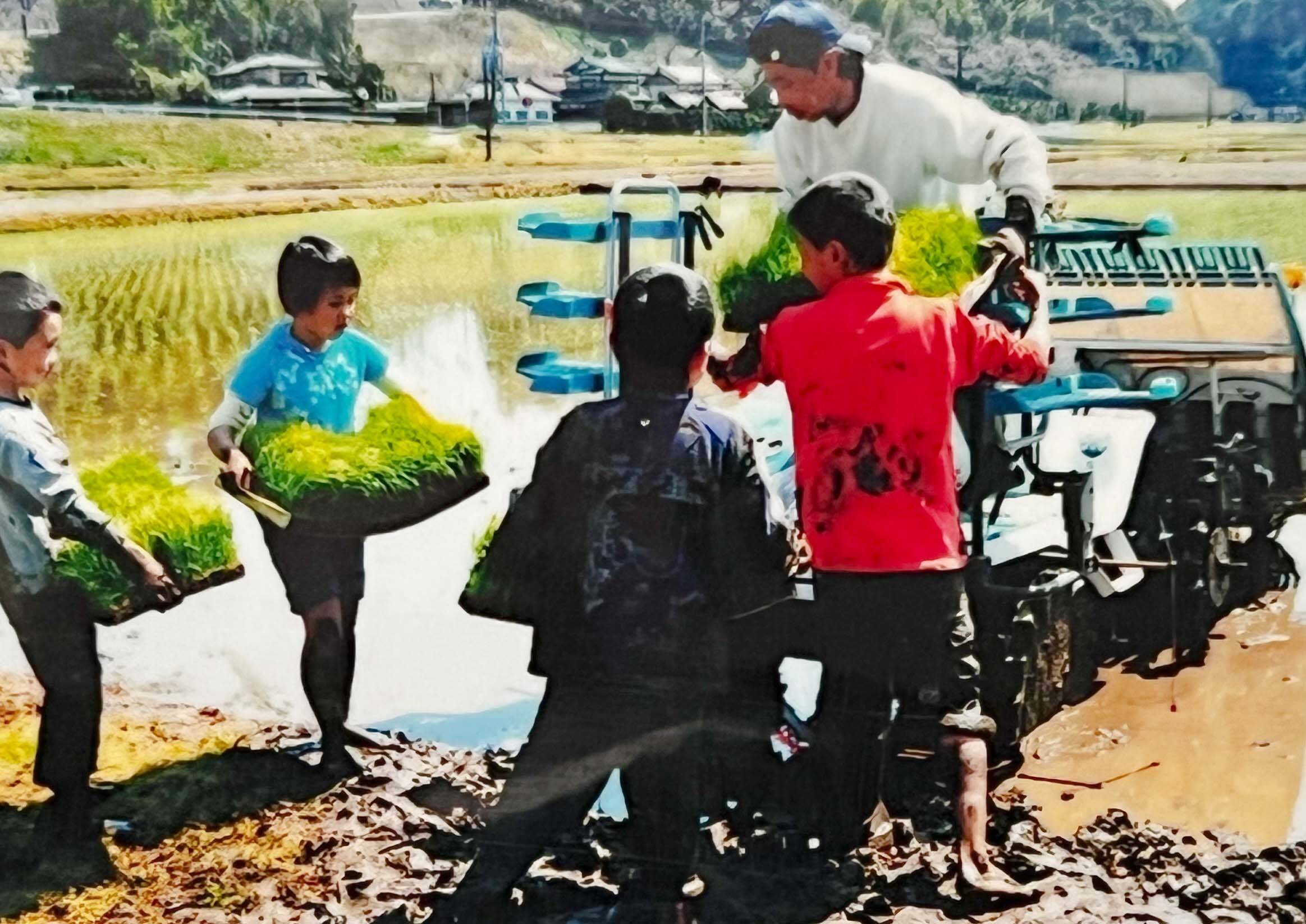 ハナワ農産へのレビュー・商品:千葉県|食べチョク|産地直送 ハナワ農産へのレビュー・商品:千葉県|食べチョク|産地直送
