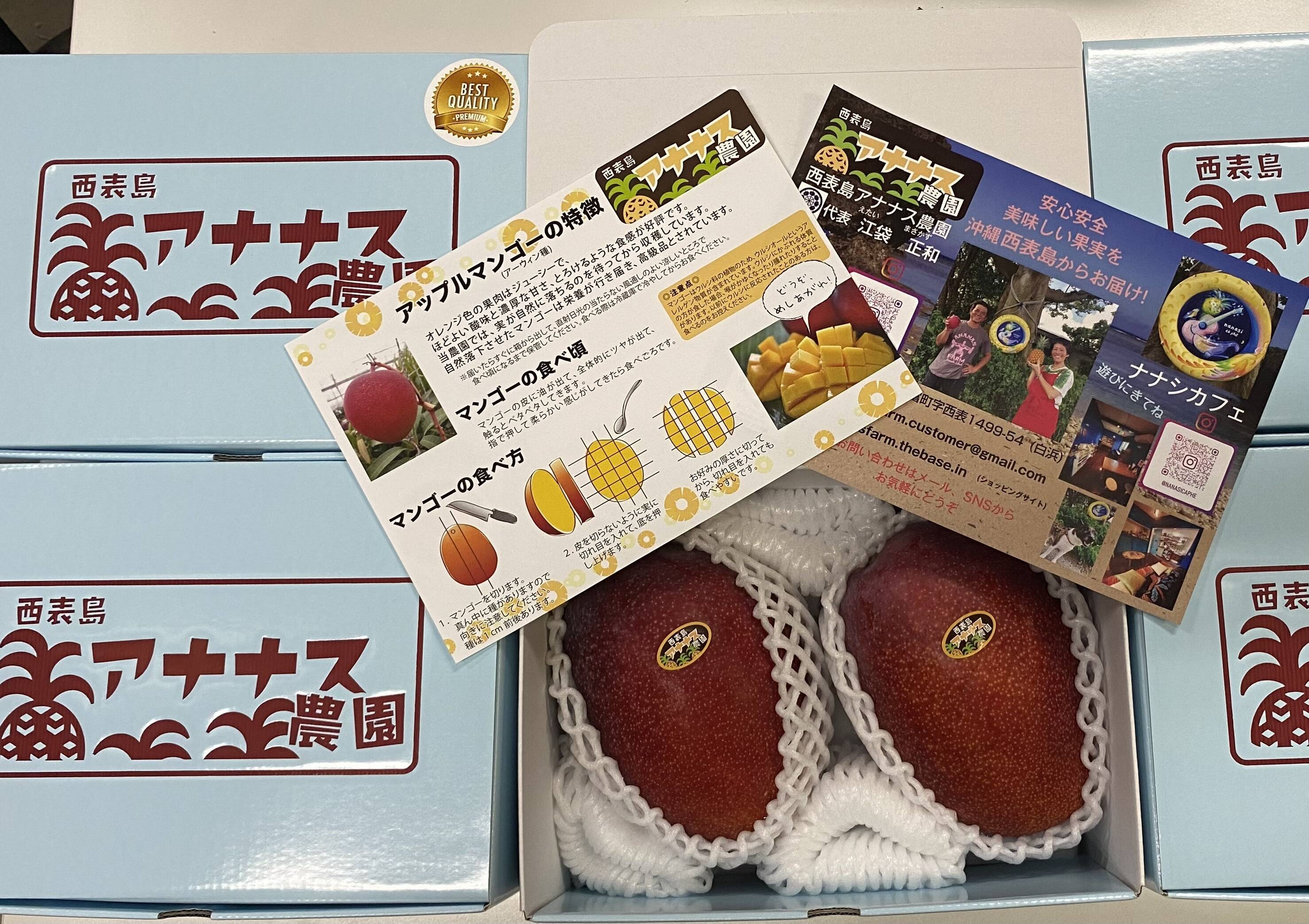 高糖度厳選】とろける至福のプレミアム完熟マンゴー1kg(2〜3個)「沖縄