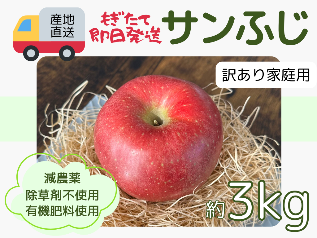 もぎたて 即日発送 りんご サンふじ 訳あり 家庭用 3kg 長野県産 信州