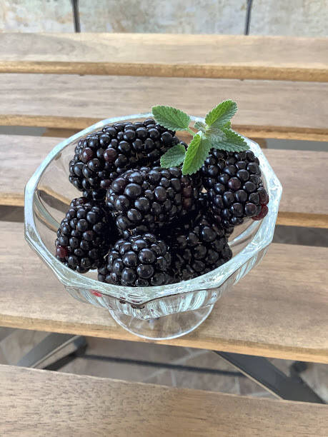 ジャム作りに最適！】冷凍ブラックベリーお値打ち加工用（500g）：愛知