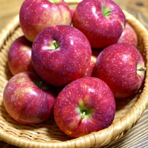 シナノリップ10キロ箱 訳あり品 22～56玉サイズ 商品ID98176 長野県