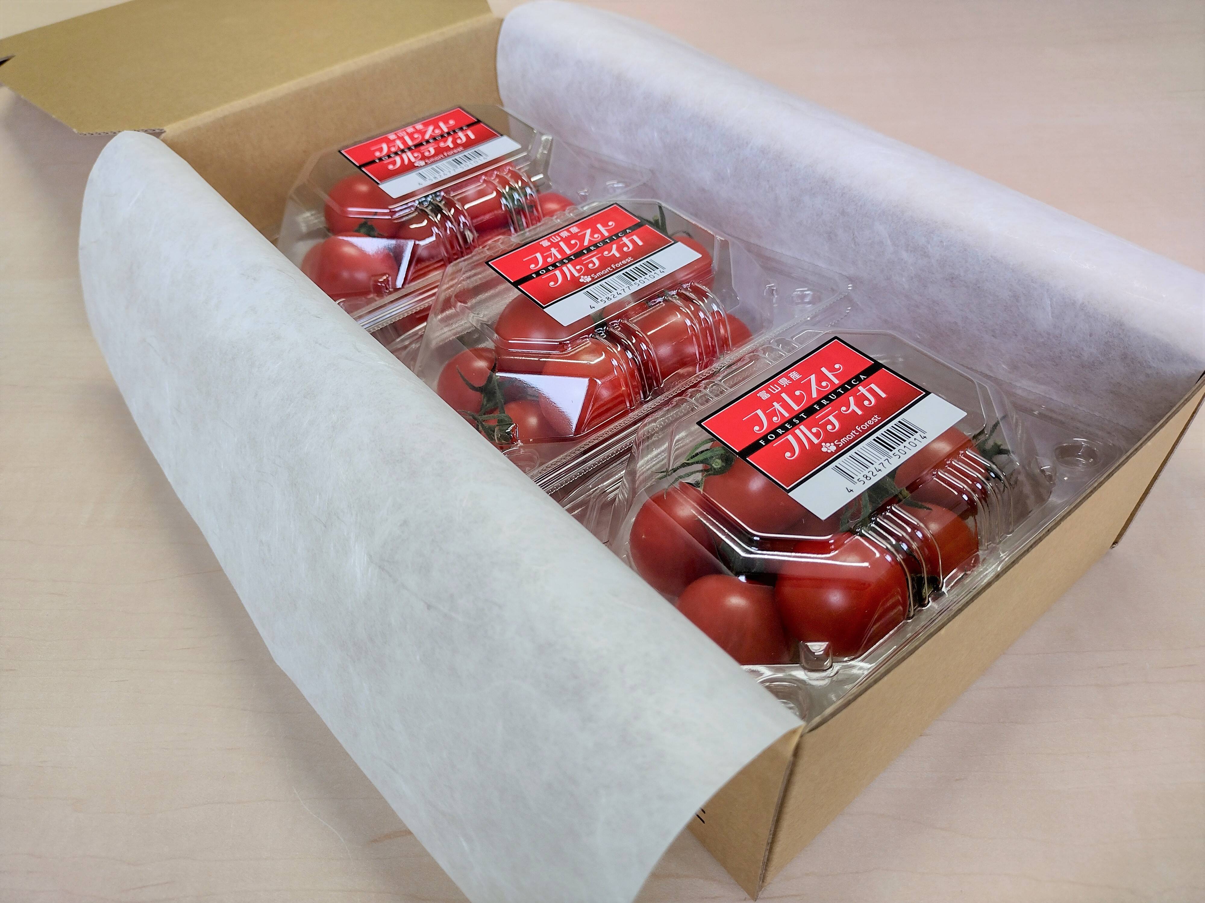 贈答用 濃厚な旨味！酸味・甘味のバランス抜群！最高峰のミニトマト