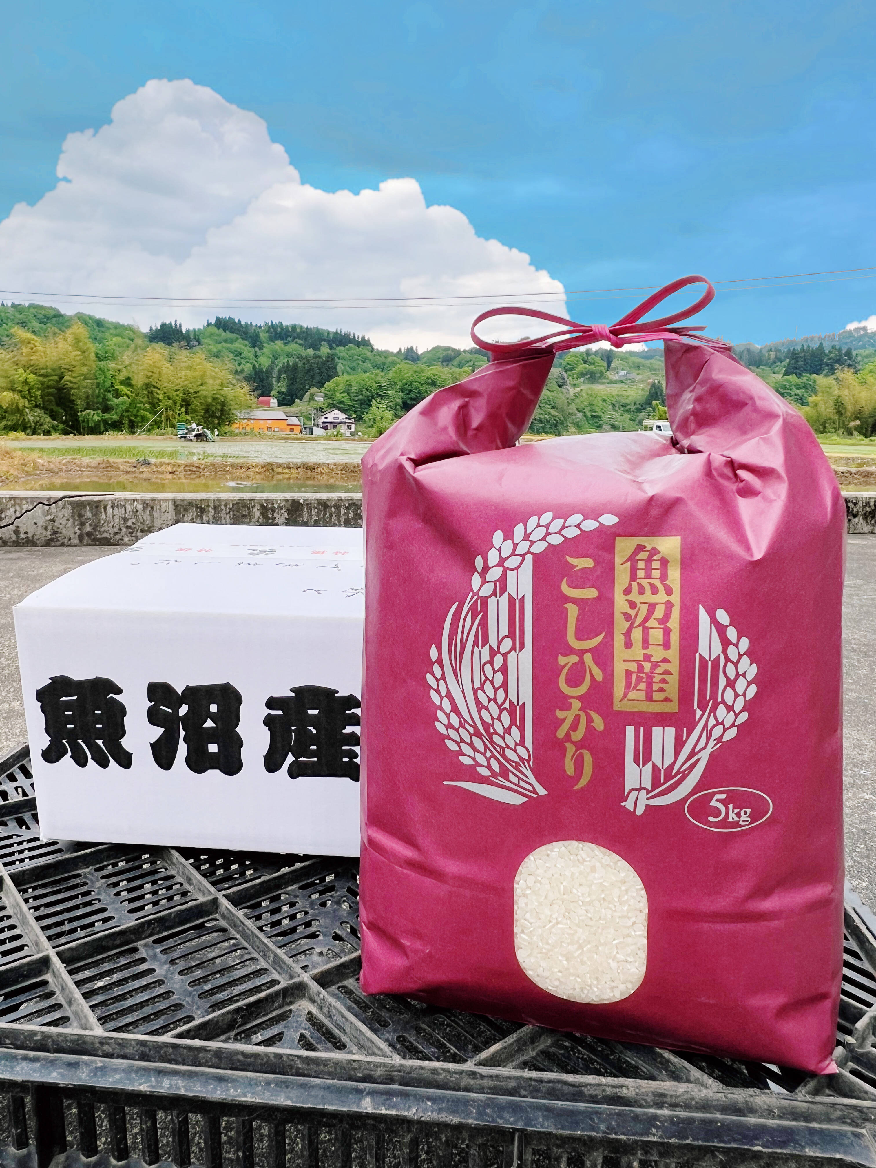魚沼産 コシヒカリ 20kg 【チナツ様専用】 越後農産株式会社 魚沼産 コシヒカリ 20kg 【チナツ様専用】 越後農産株式会社