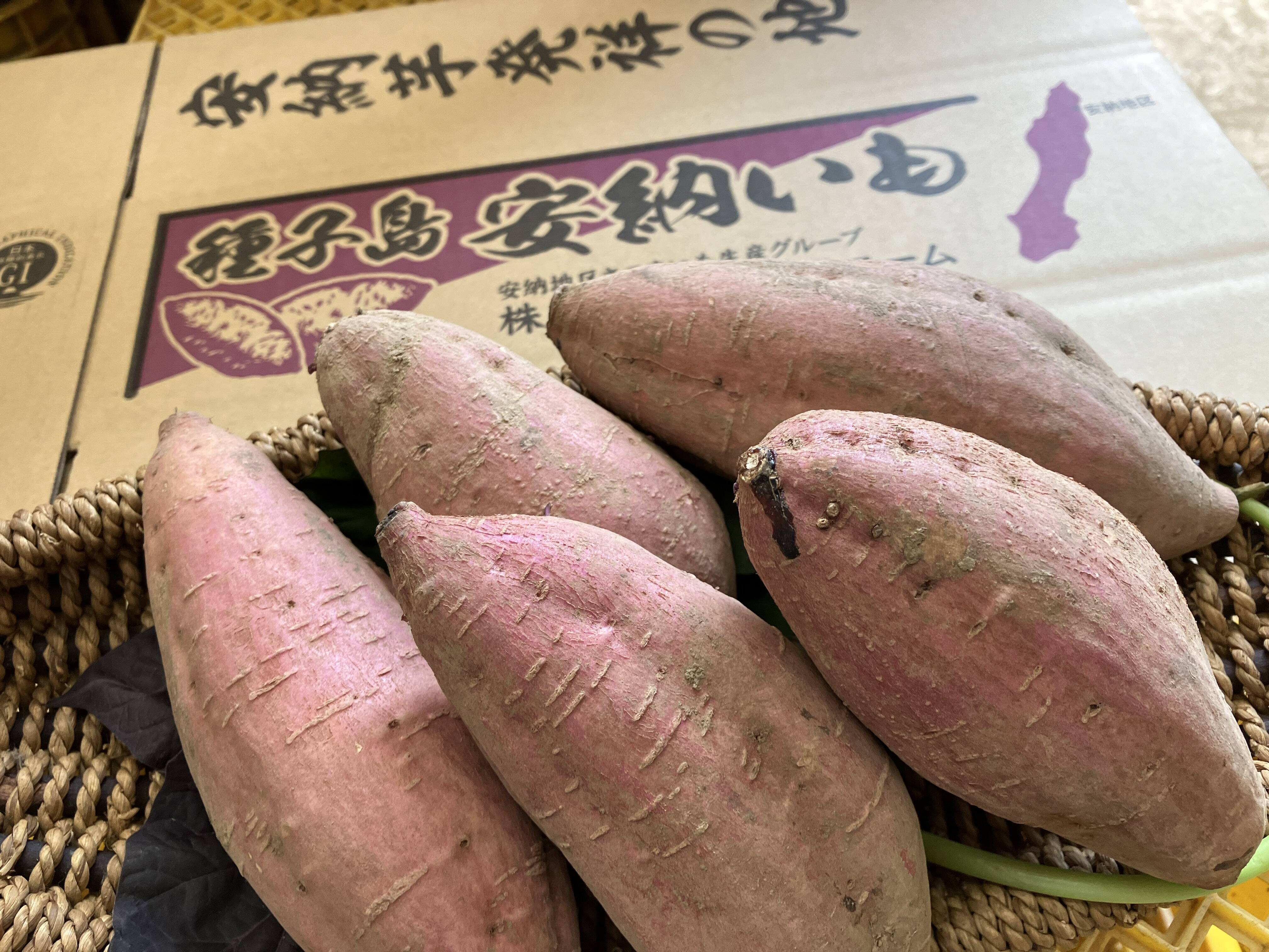 中園ファームの熟成安納芋（生芋） Mサイズ 5キロ：鹿児島県産の安納