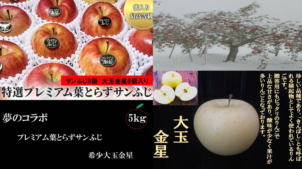 プレミアム葉とらずサンふじ、希少金星　夢のコラボ！　「大人気」50セット限定　青森県産　農家・漁師から旬の食材を直送　5kg　16個入り：青森県産のふじ｜食べチョク｜産地直送(産直)お取り寄せ通販