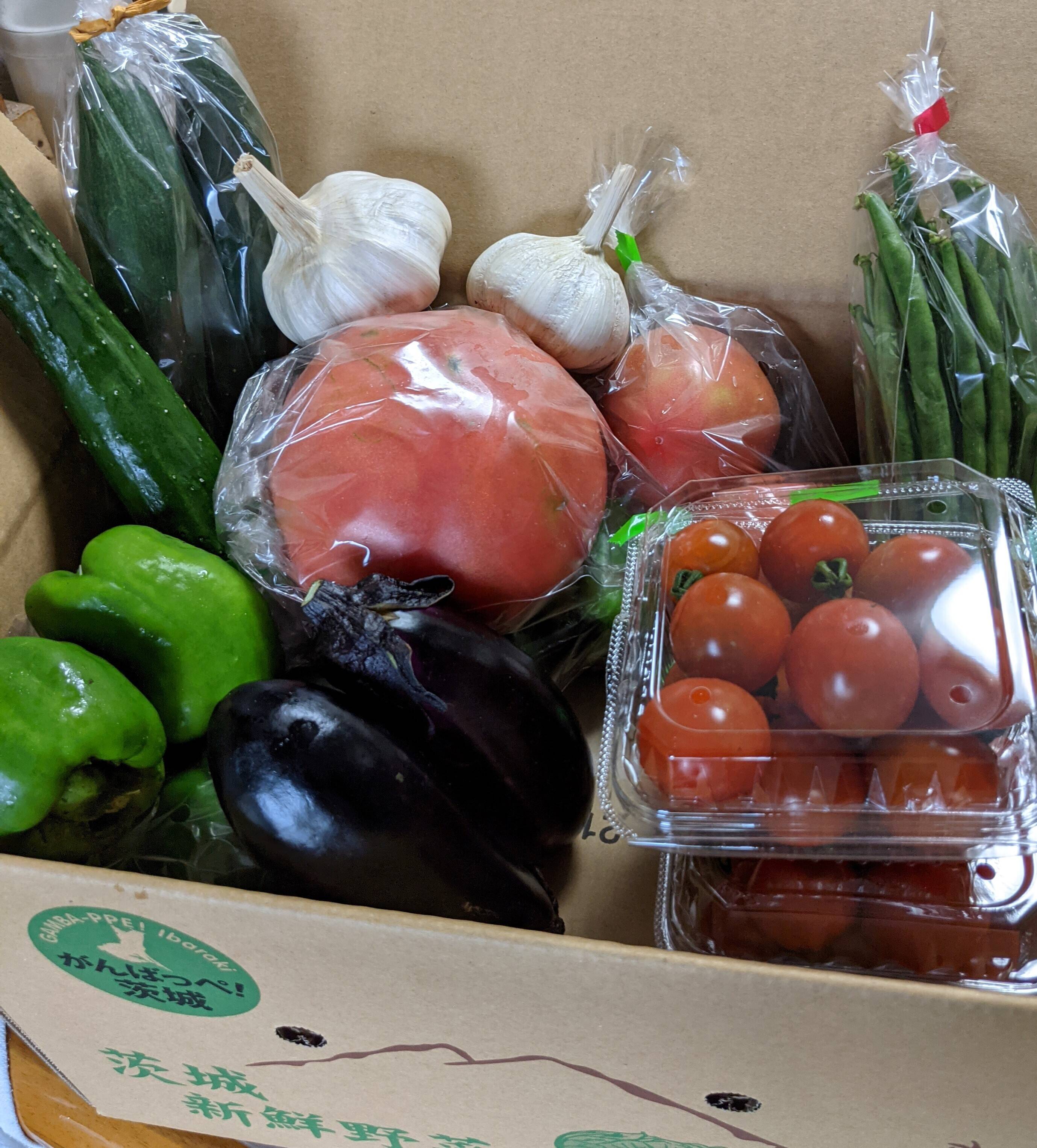トマト+新鮮野菜 詰め合せ 旬セット7品目 80ｻｲｽﾞ箱満載でお届けします 