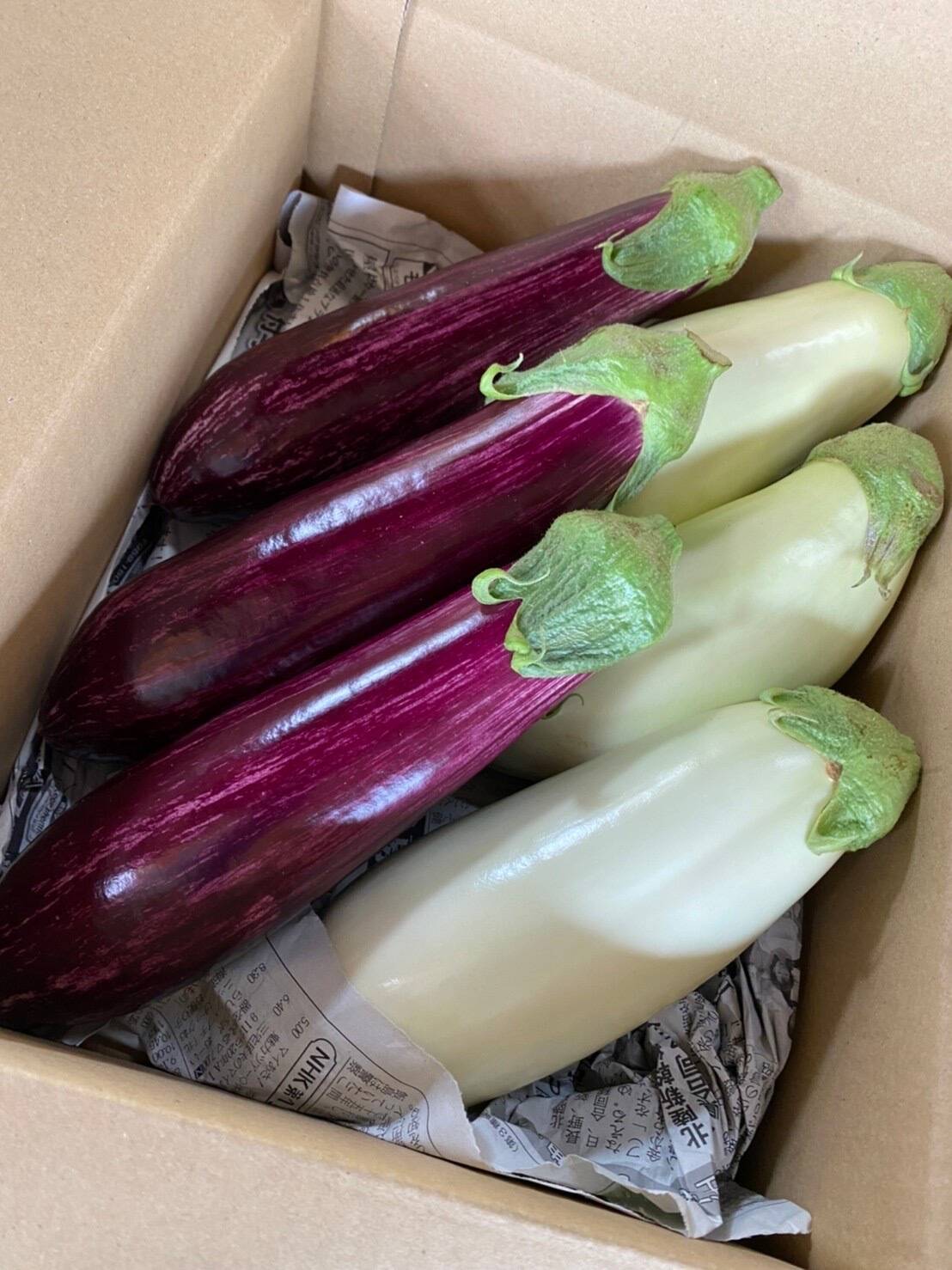 りんごあめなす】人気者セット（白茄子 ゼブラ茄子）：新潟県産の野菜