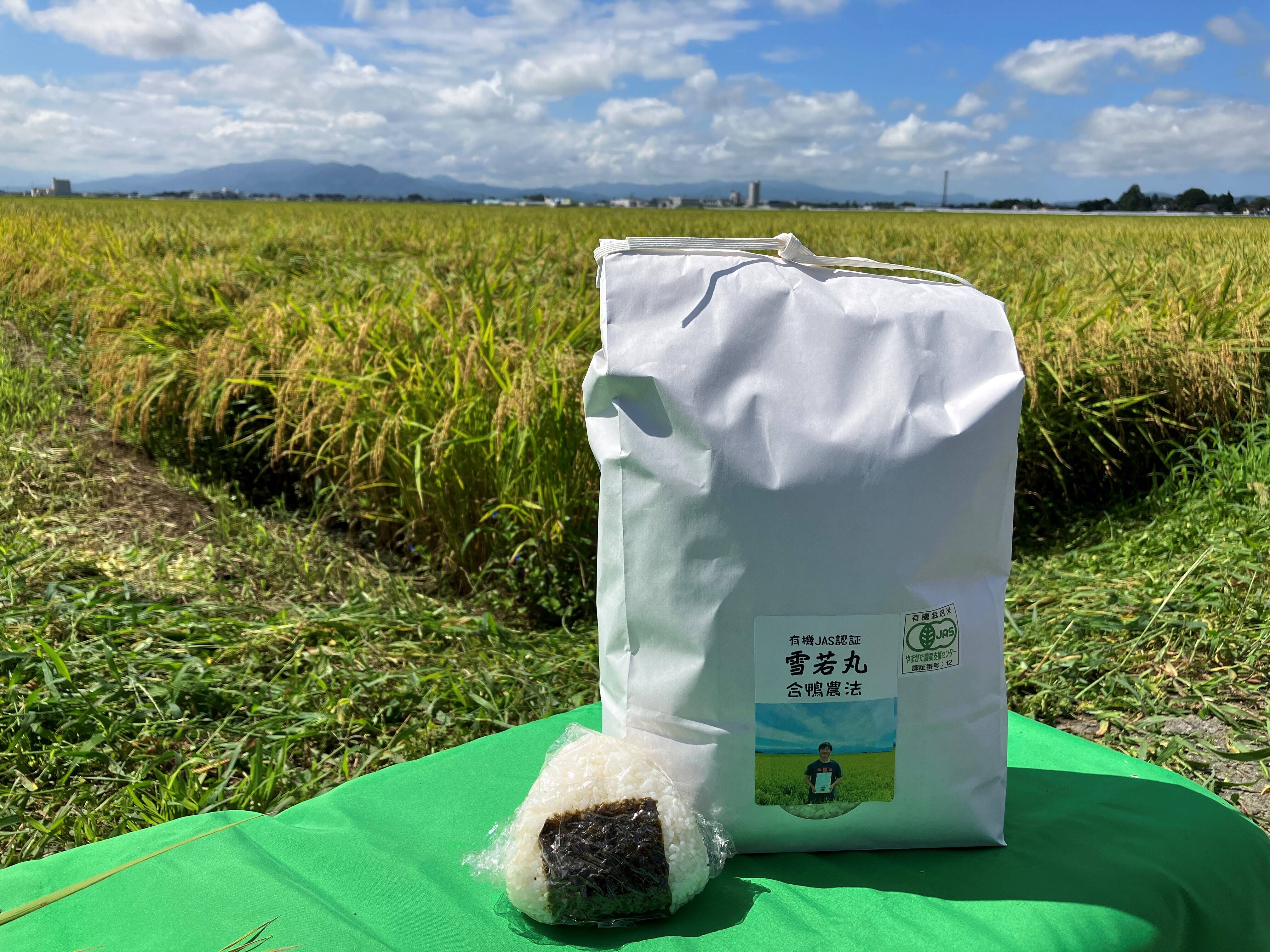 令和6年新米！ 希少！ JAS認証有機栽培 精米雪若丸 5キロ：山形県産の