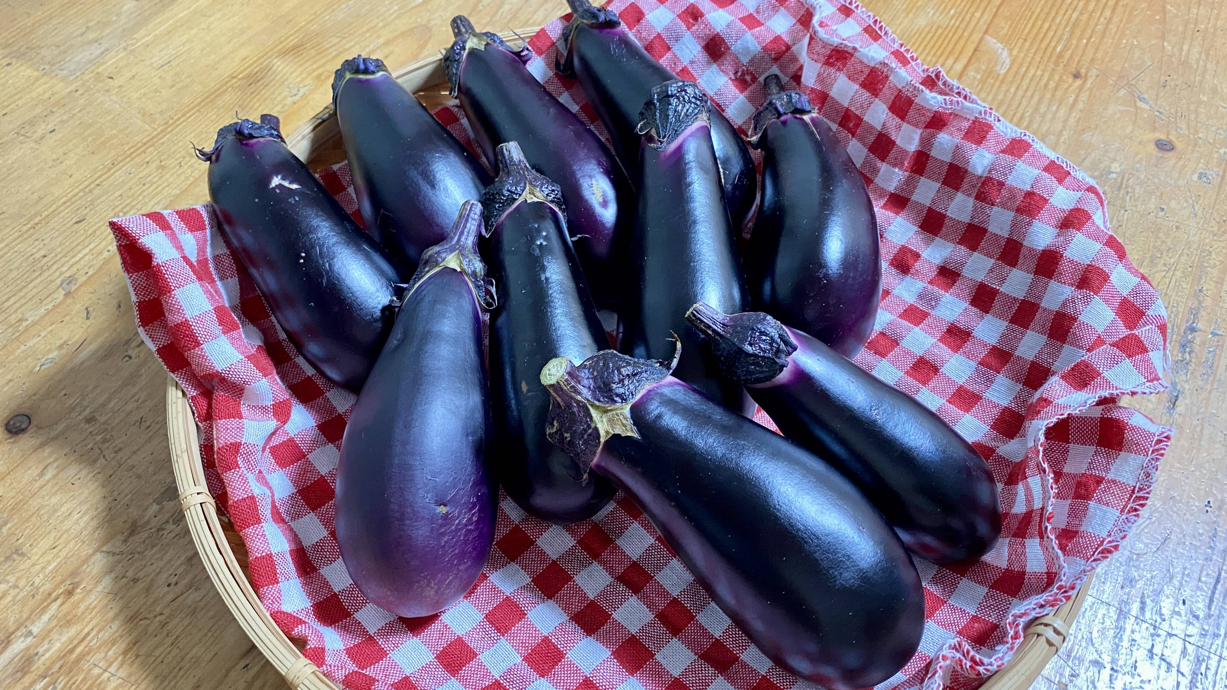 自然栽培🍀真黒(しんくろ)なす500g(5本前後)】自家採種10年以上・皮が