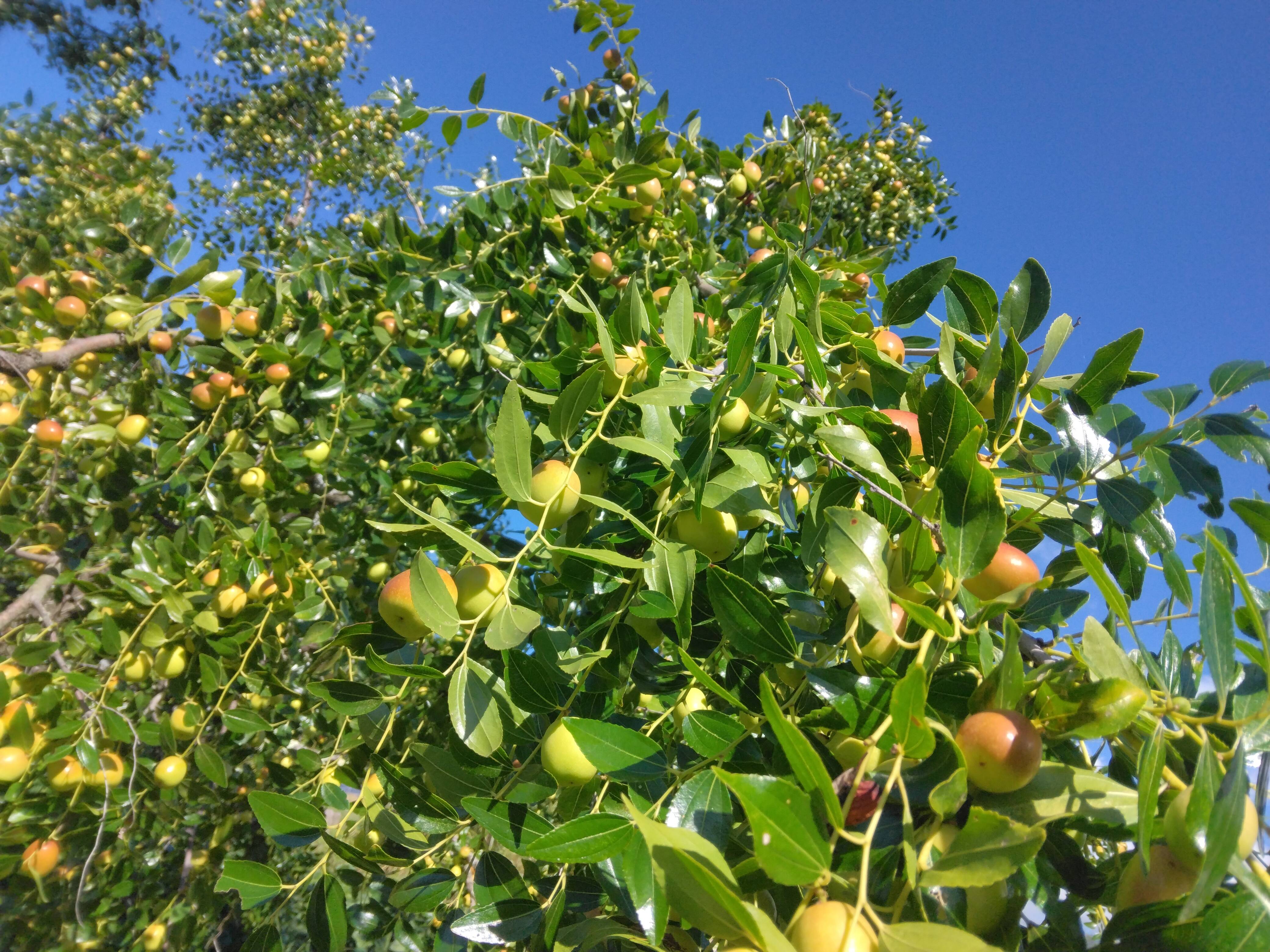 0b539094b8bb9187cd25d552e96b9d