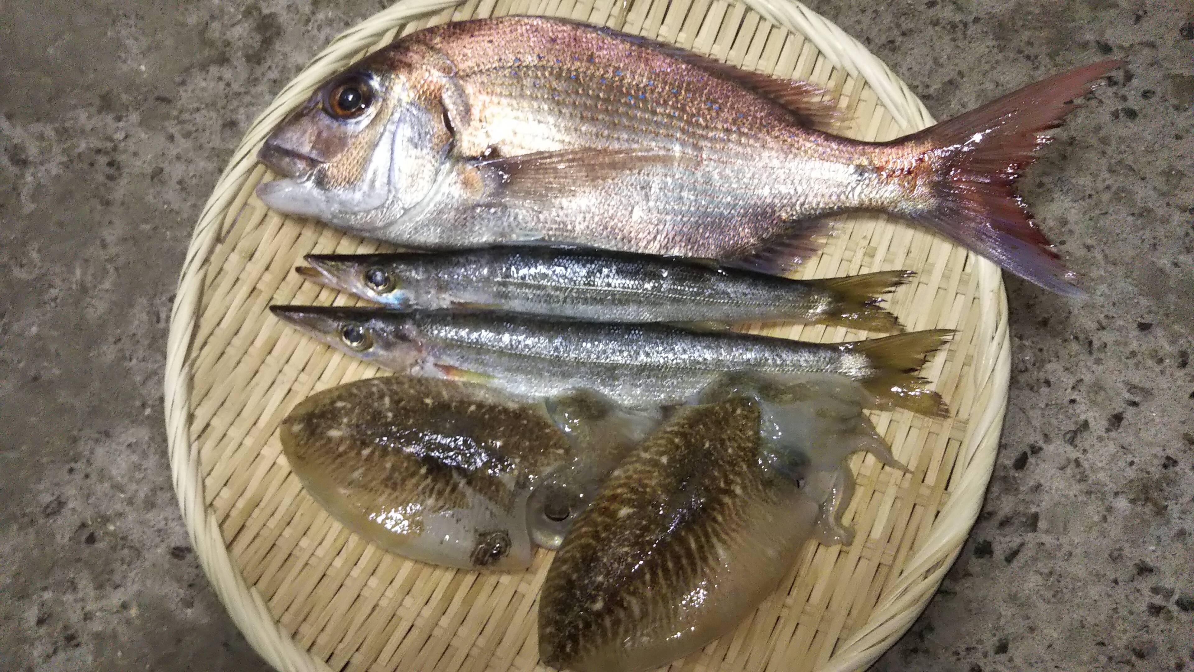 季節の詰め合わせ3 4魚種 香川県産 食べチョク 農家 漁師の産直ネット通販 旬の食材を生産者直送