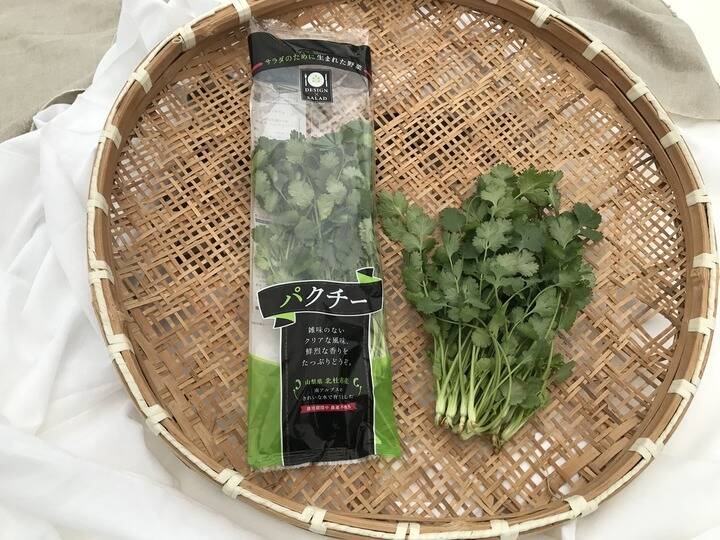 パクチー コリアンダー さわやかな味わいフレッシュパクチー 栽培期間中農薬不使用 ３０ｇ １０袋 山梨県産 食べチョク 農家 漁師の産直ネット通販 旬の食材を生産者直送