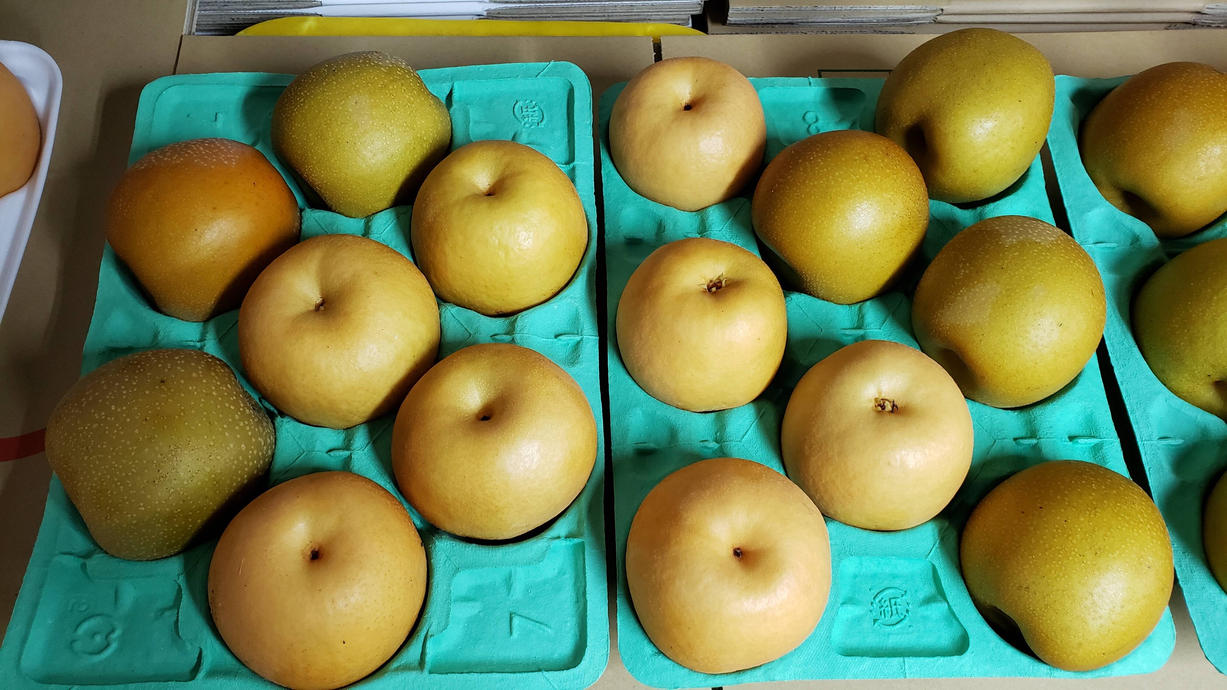 梨　王秋　あたご　新興　15㎏セット 王秋の通販｜梨｜食べチョク｜産地直送(産直)お取り寄せ通販 - 農家