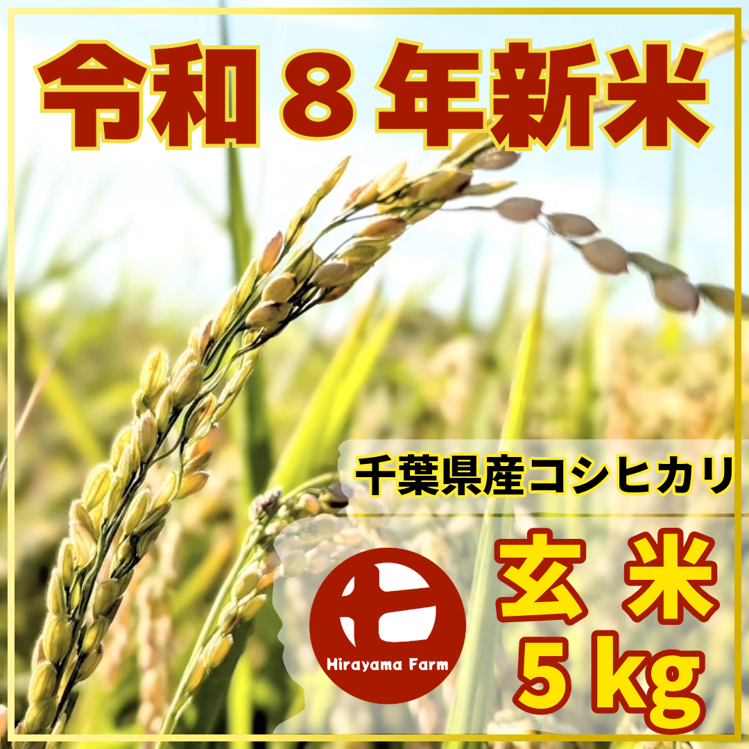 令和8年新米】ヒラヤマファームの玄米（5kg）：千葉県産のコシヒカリ