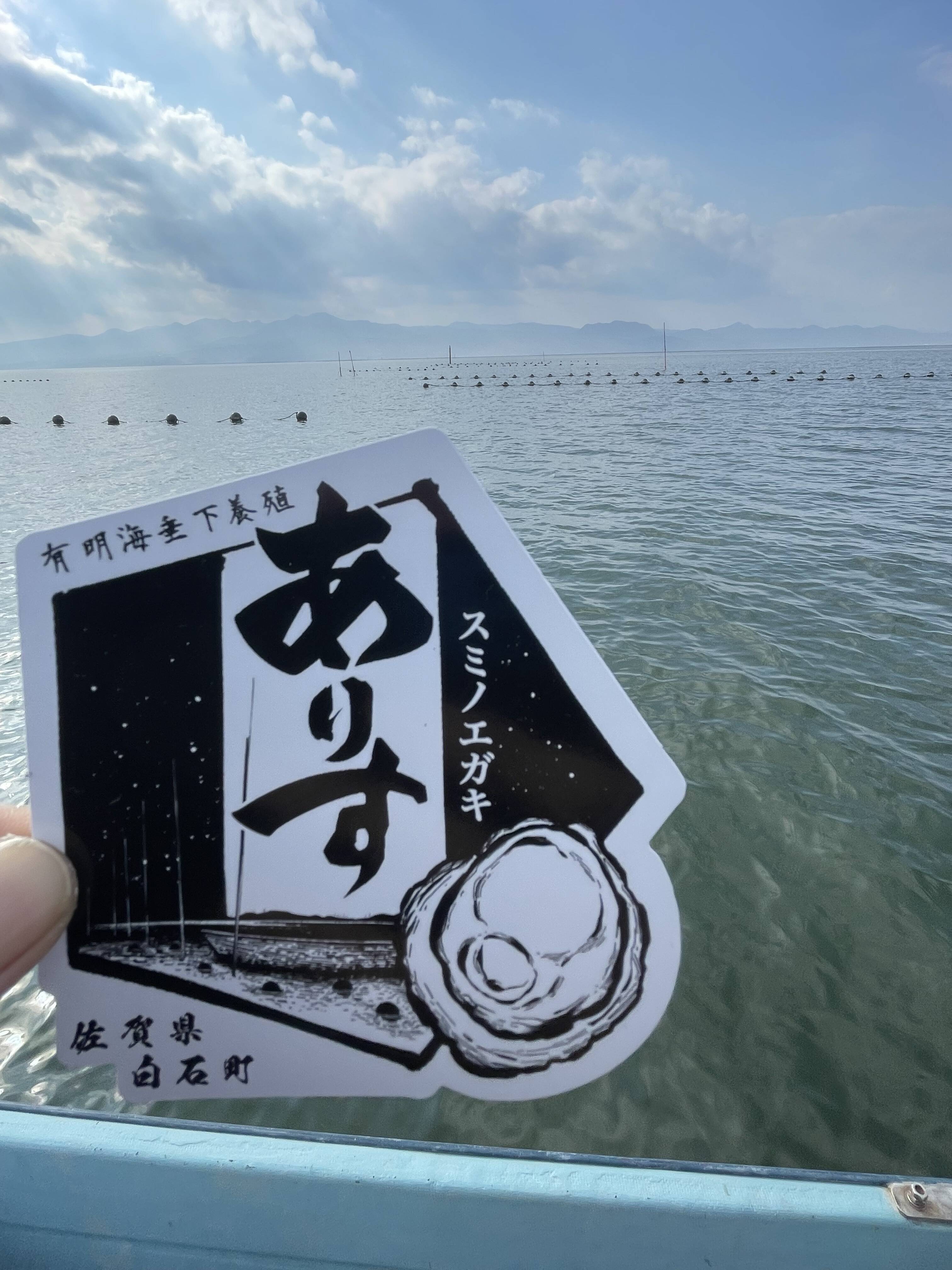 身入り抜群！ 有明垂下養殖スミノエガキありす 2kg （生食可）：佐賀県 