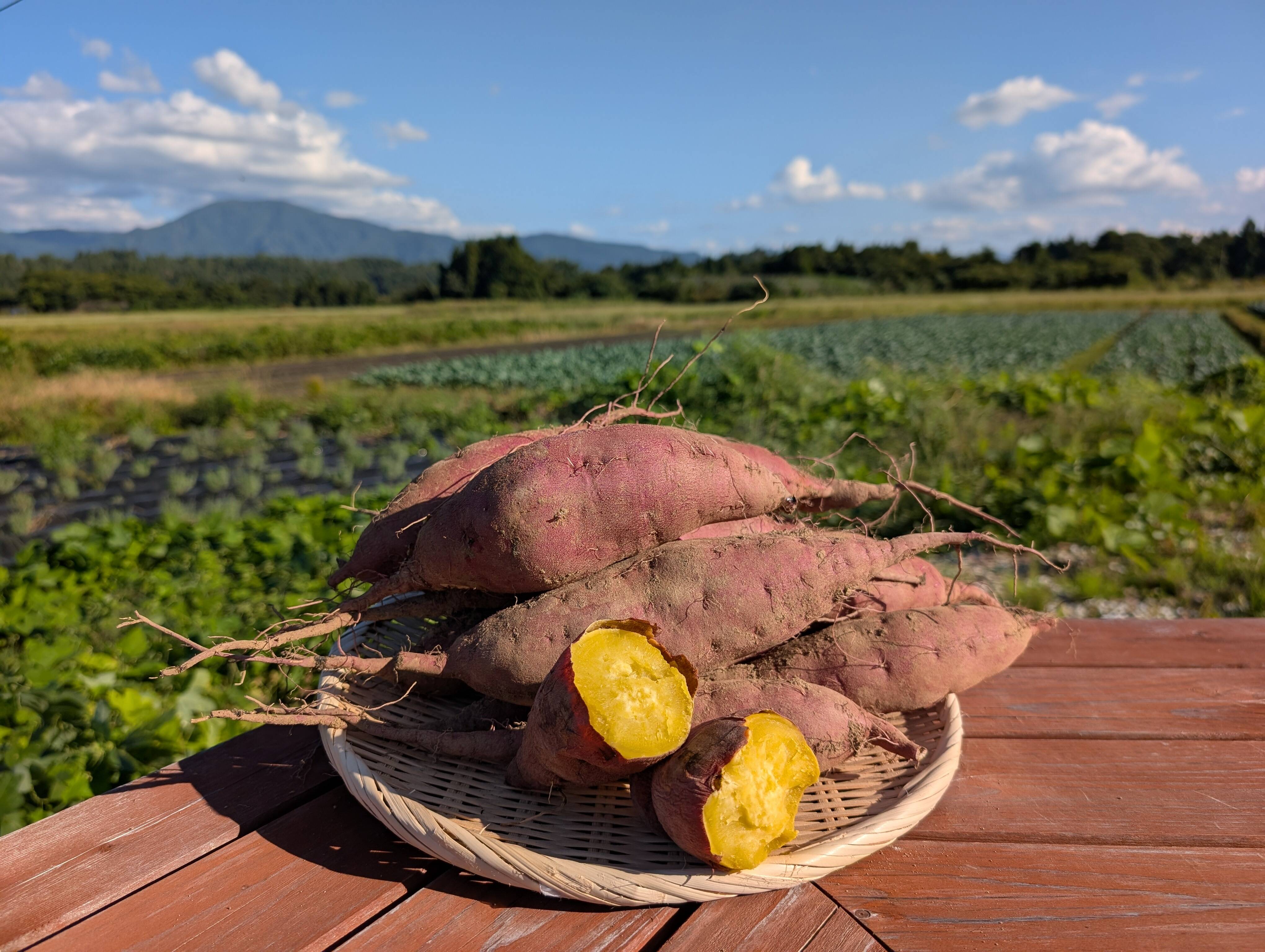 ほっくり、しっとり 栗かぐや ご家庭用 4kg：山形県産の栗かぐや｜食べ