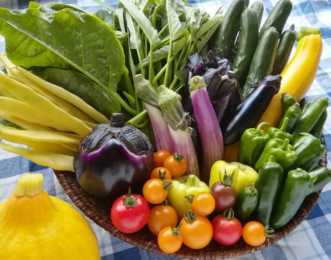 野菜セットM(栽培期間中農薬不使用、常温便)：山形県産の野菜セット