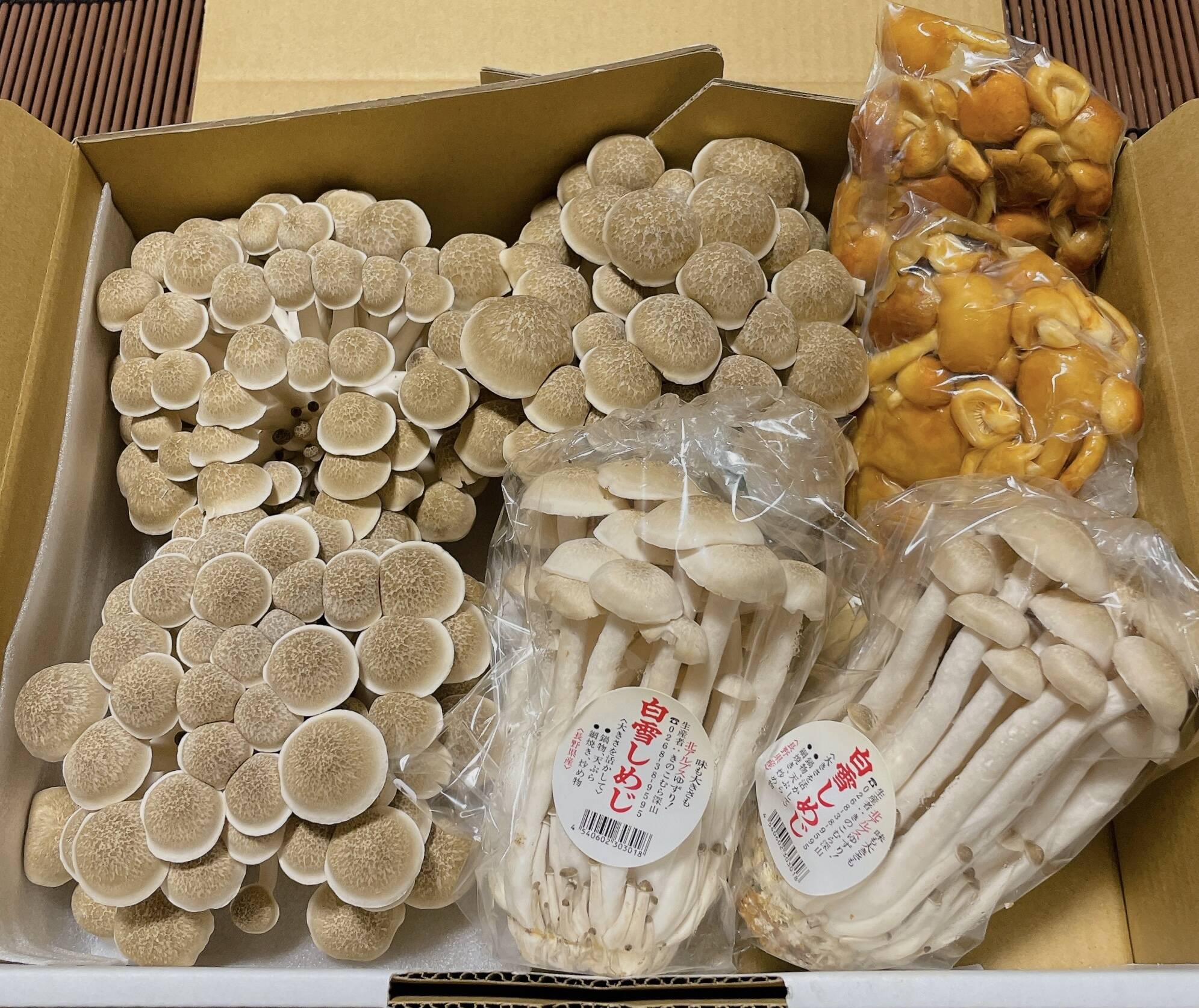 松茸 国産 信州産 長野県産 【公式通販】