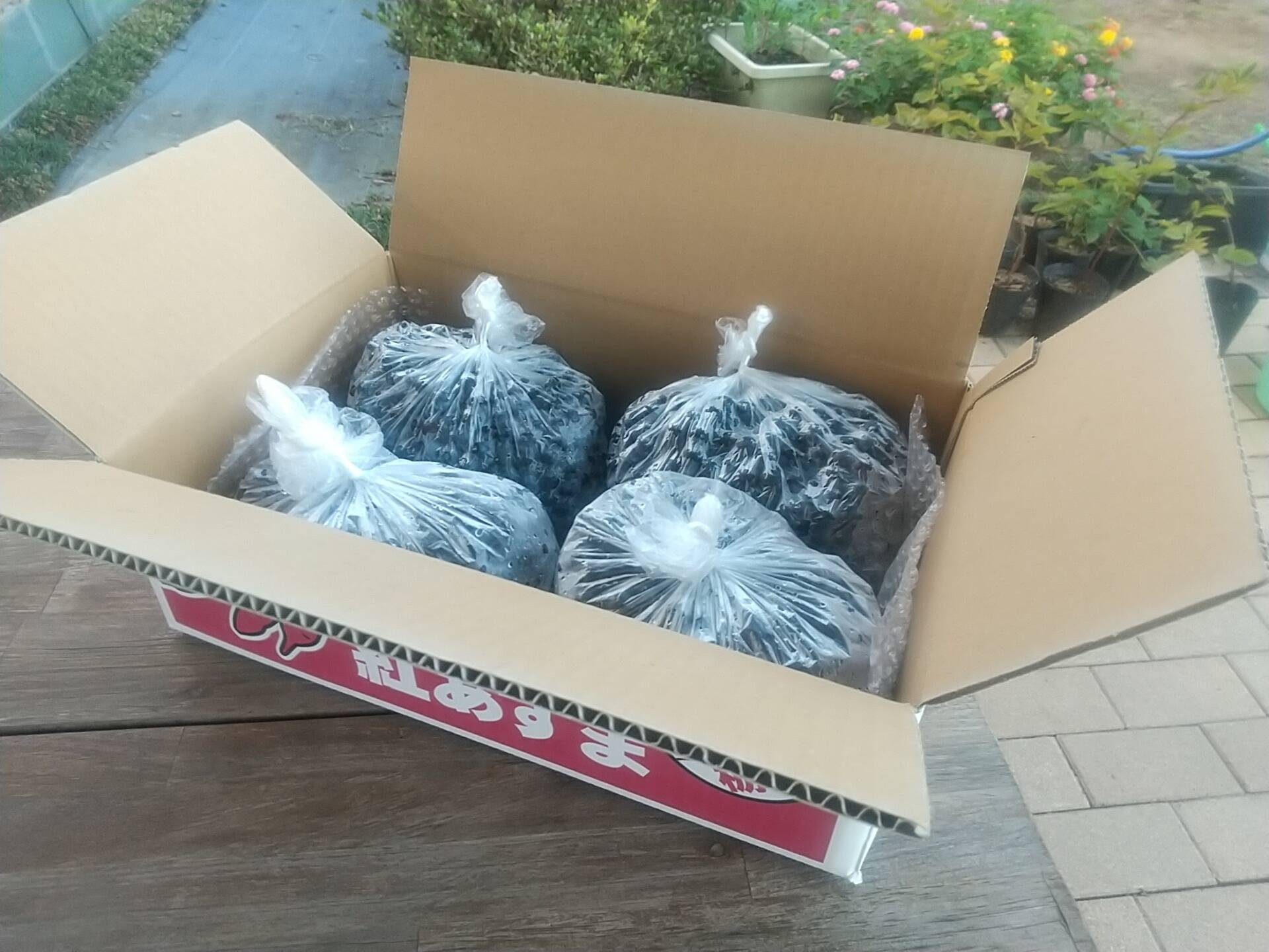 冷凍ブルーベリー4kg【訳あり：小中粒】：栃木県産のブルーベリー